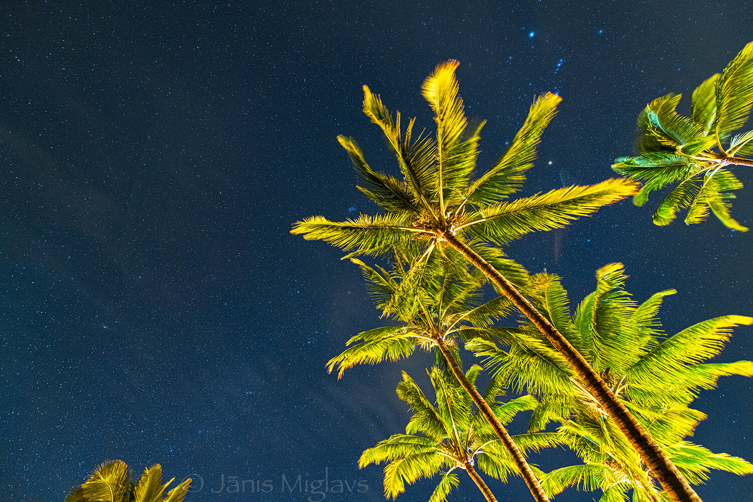 Starry Maui Night