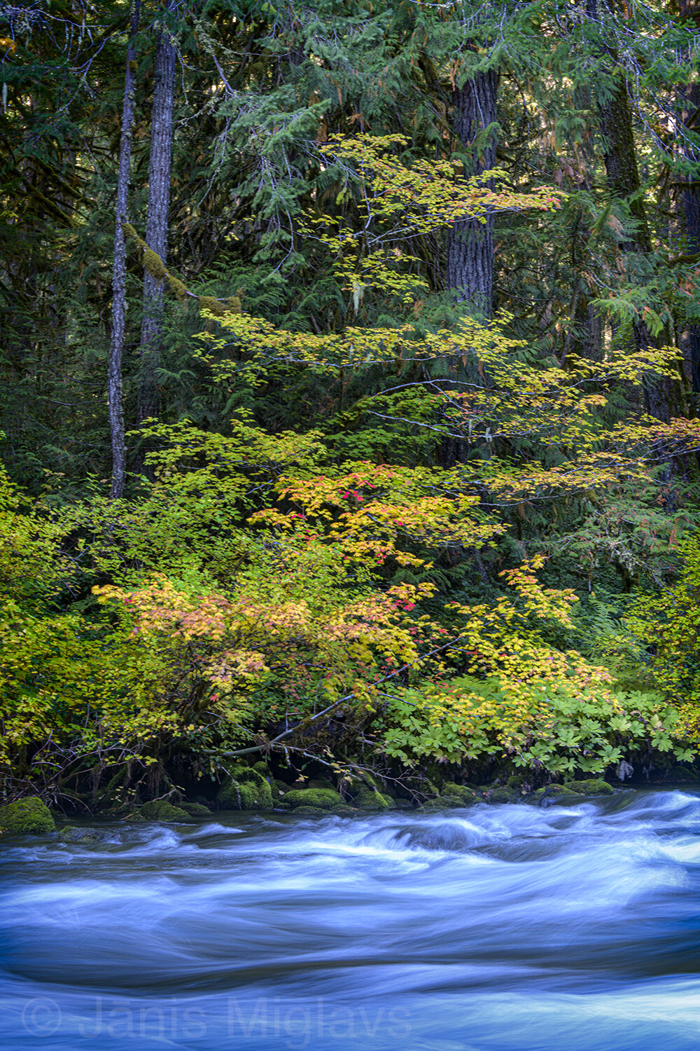 The River Rolls past Fall