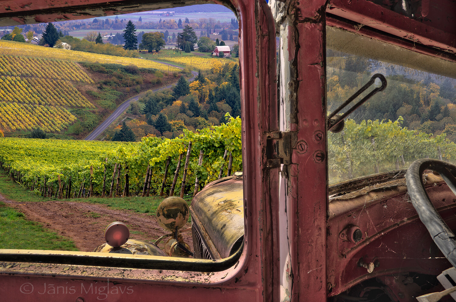 Old Car in the Vineyard7