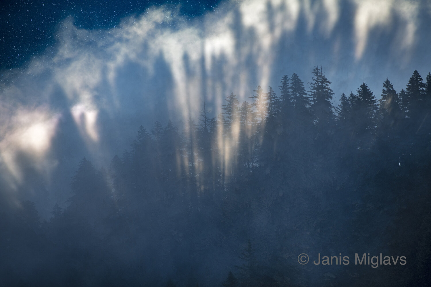 Cascade Fog