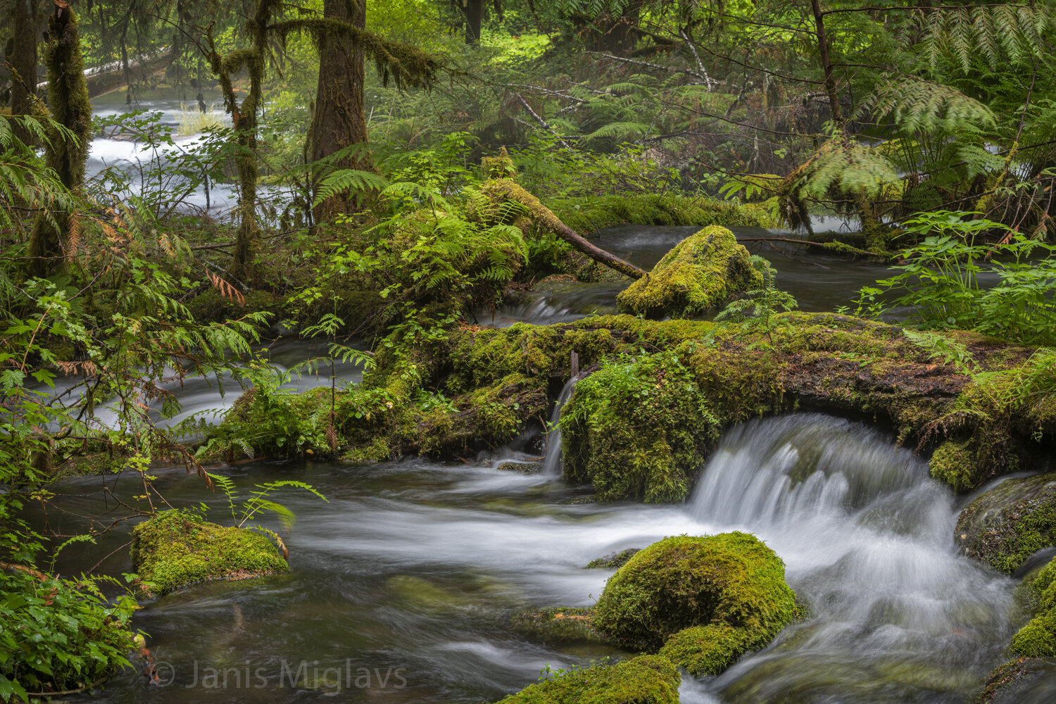 Little Olallie heads to the McKenzie 2