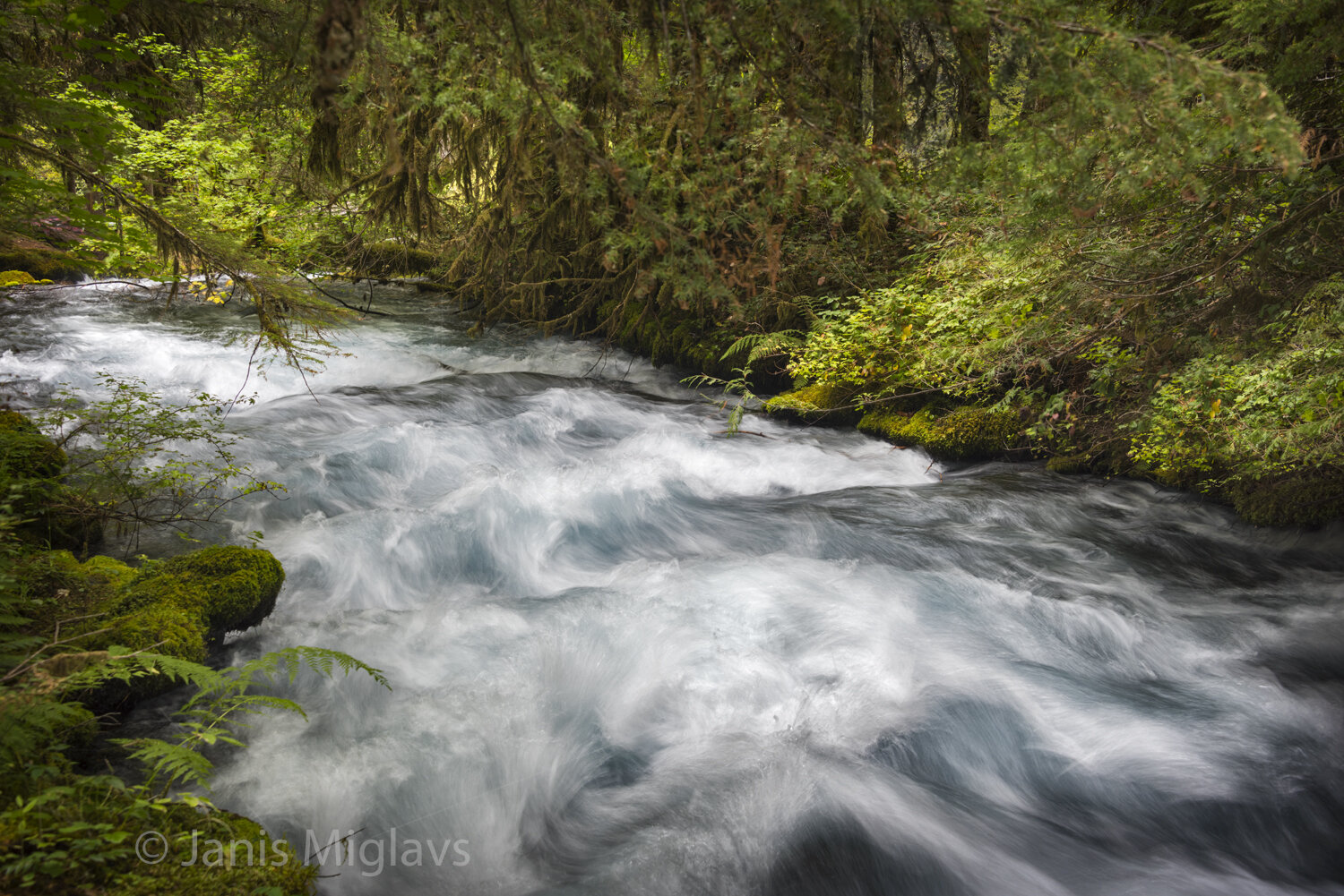 Powerful and Cold Olallie Creek 