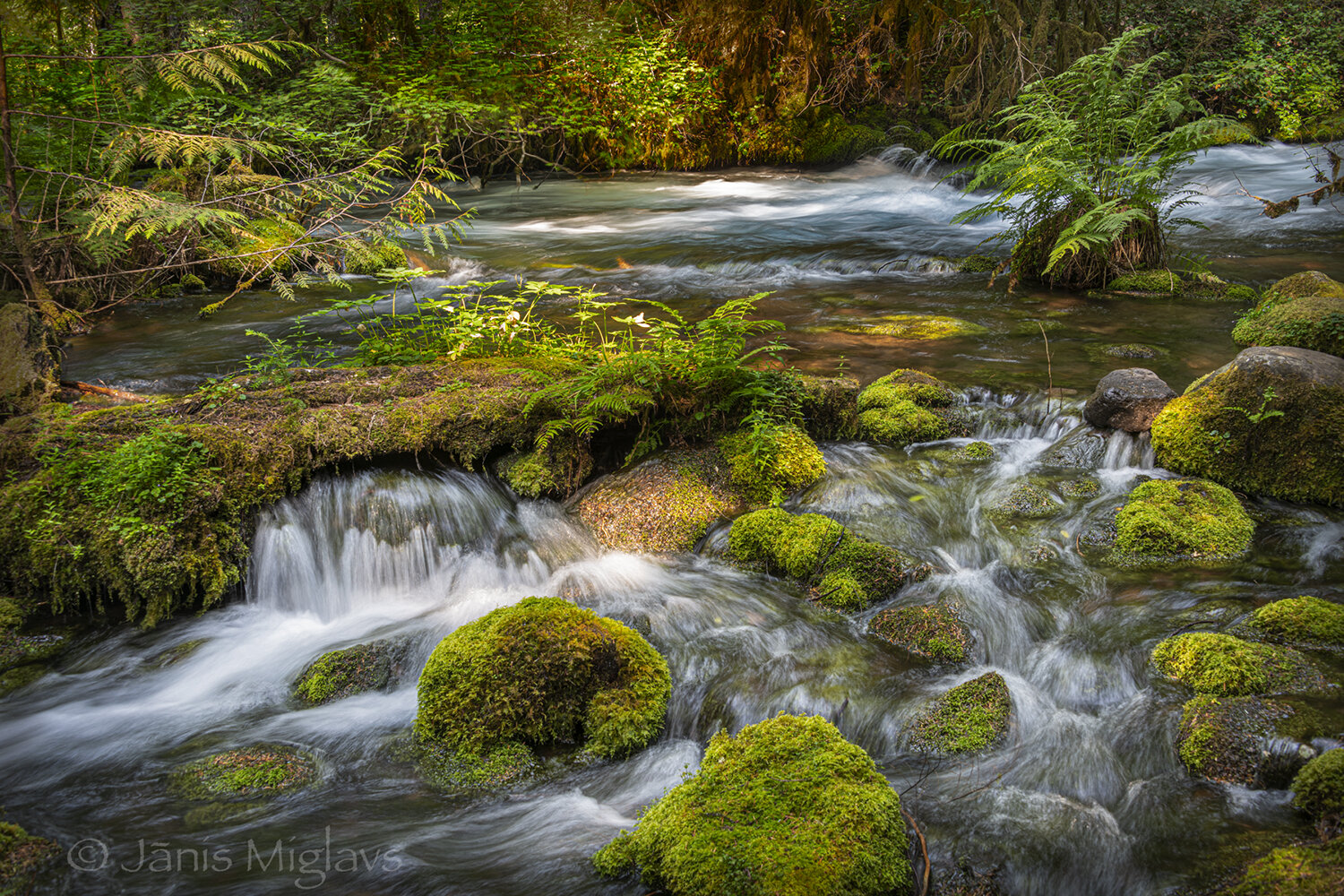 Little Falls Olallie Creek