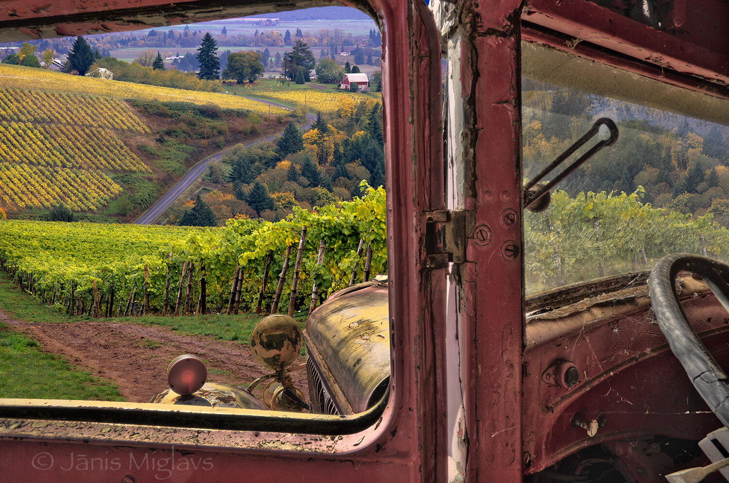 Vintage car in Oregon vineyard