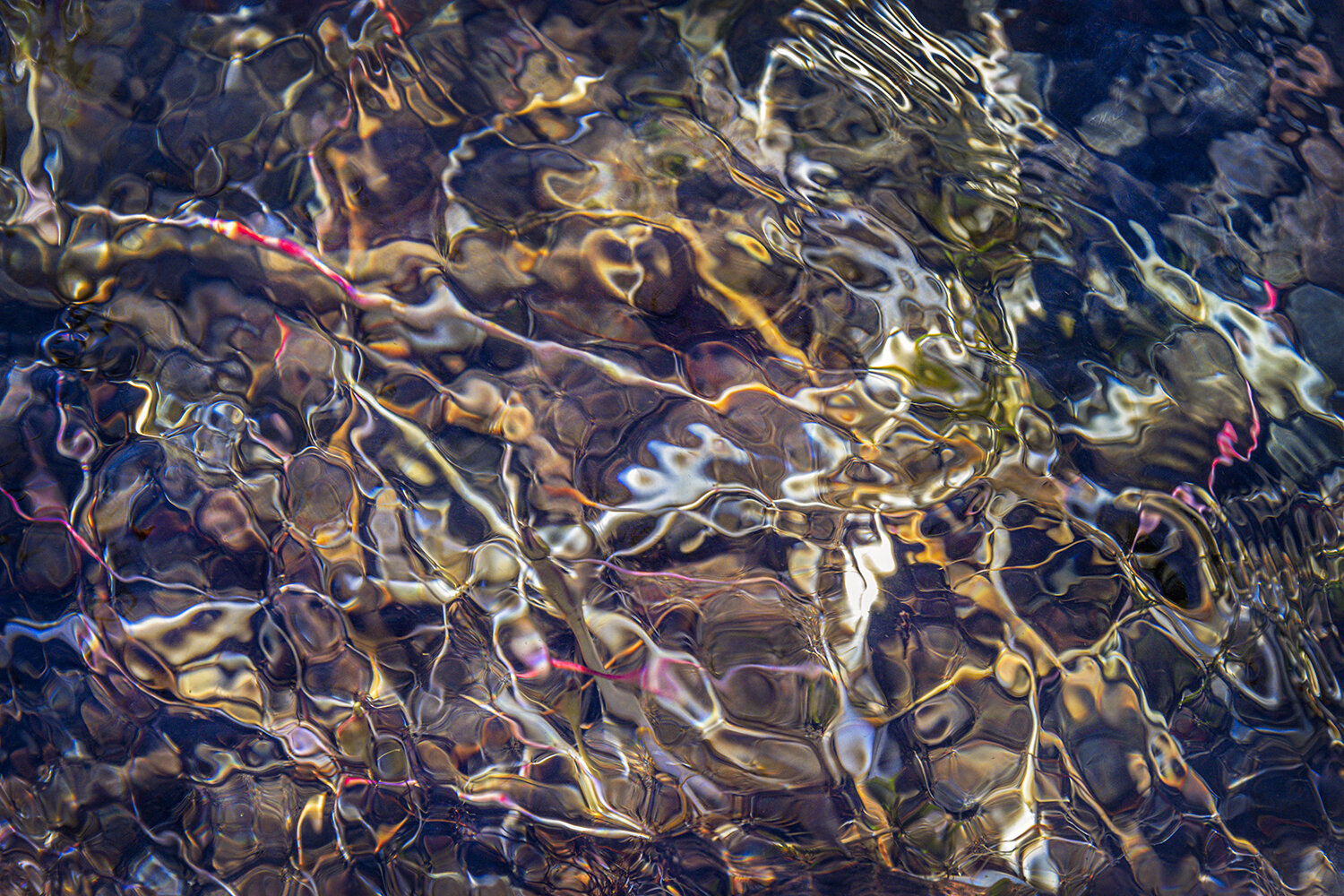 Oregon's McKenzie River abstract