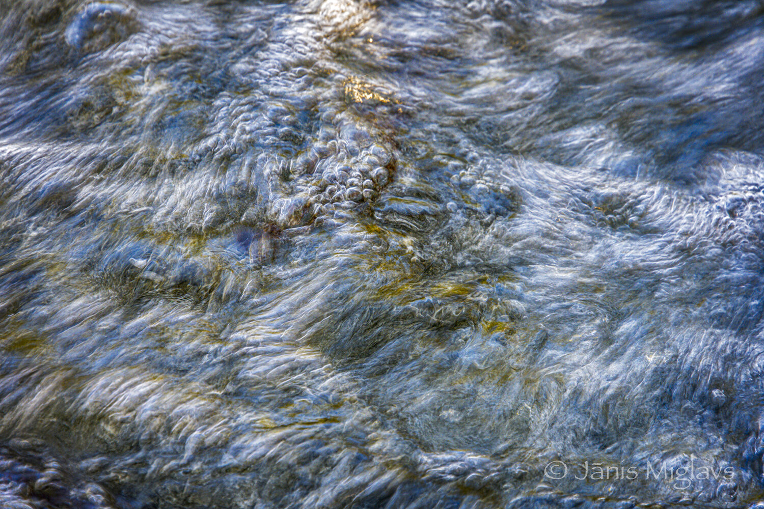 Oregon's McKenzie River detail