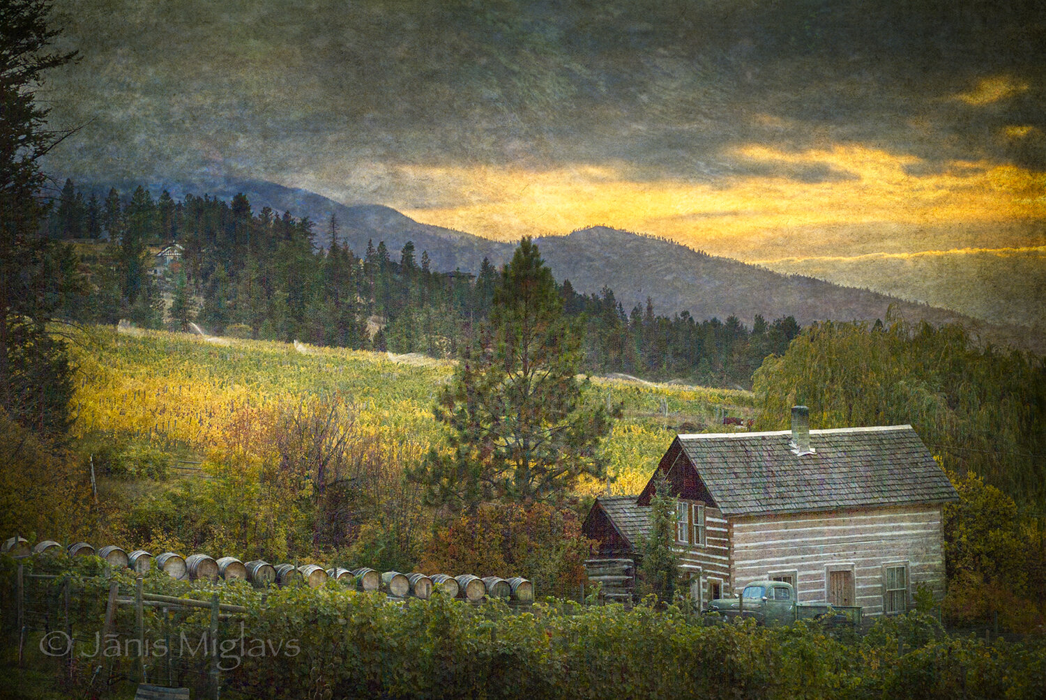 Sunset Canadian Rustic Cabin Vineyard 2