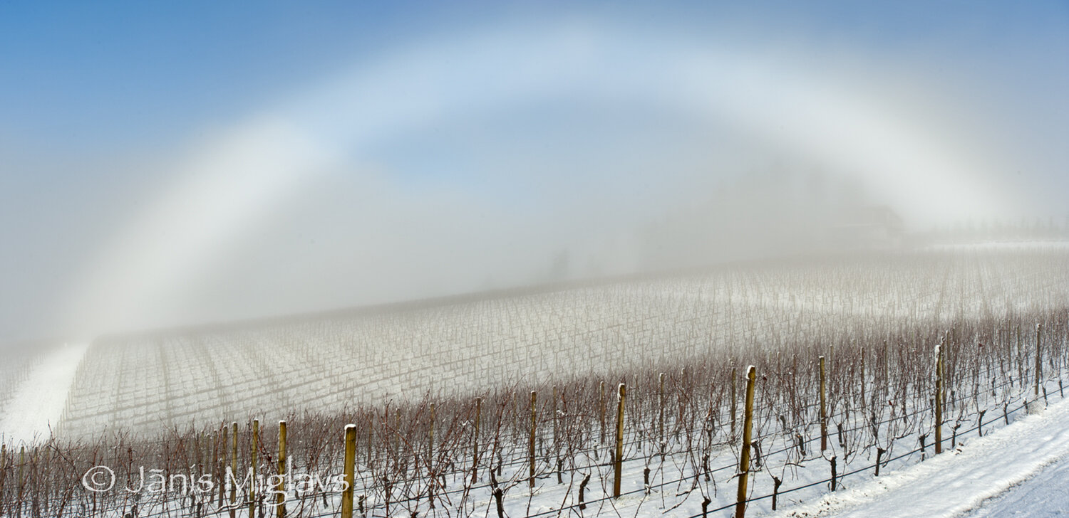 White Rainbow over Snowy Oregon Vineyard