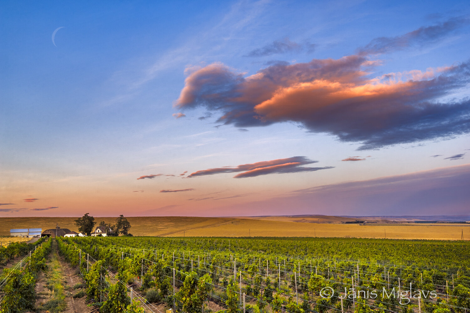 Clouds Rompiing over Oregon Vineyard 2