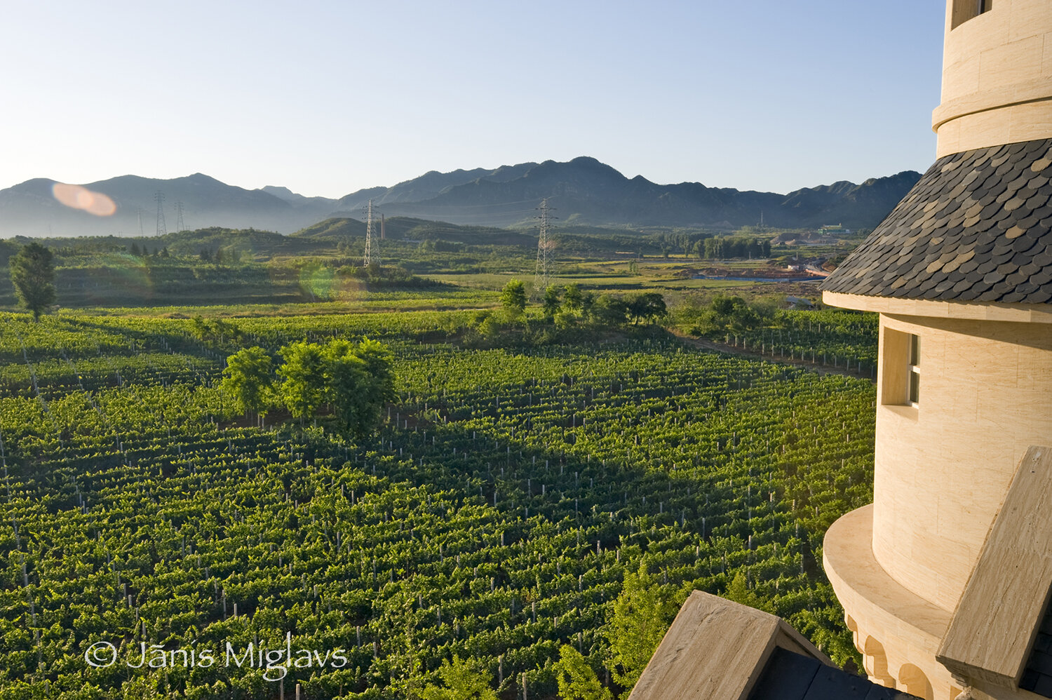 Vineyard view from castle turret at Chateau Changyu AFIP Global winery