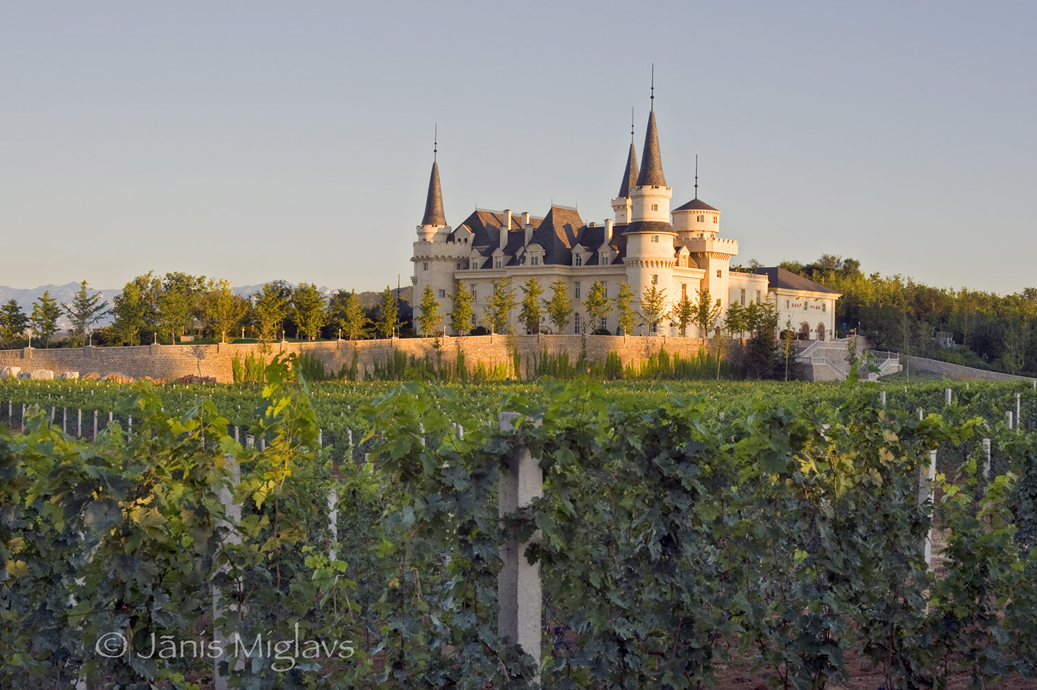 Chateau Changyu AFIP Global winery seen from vineyard.