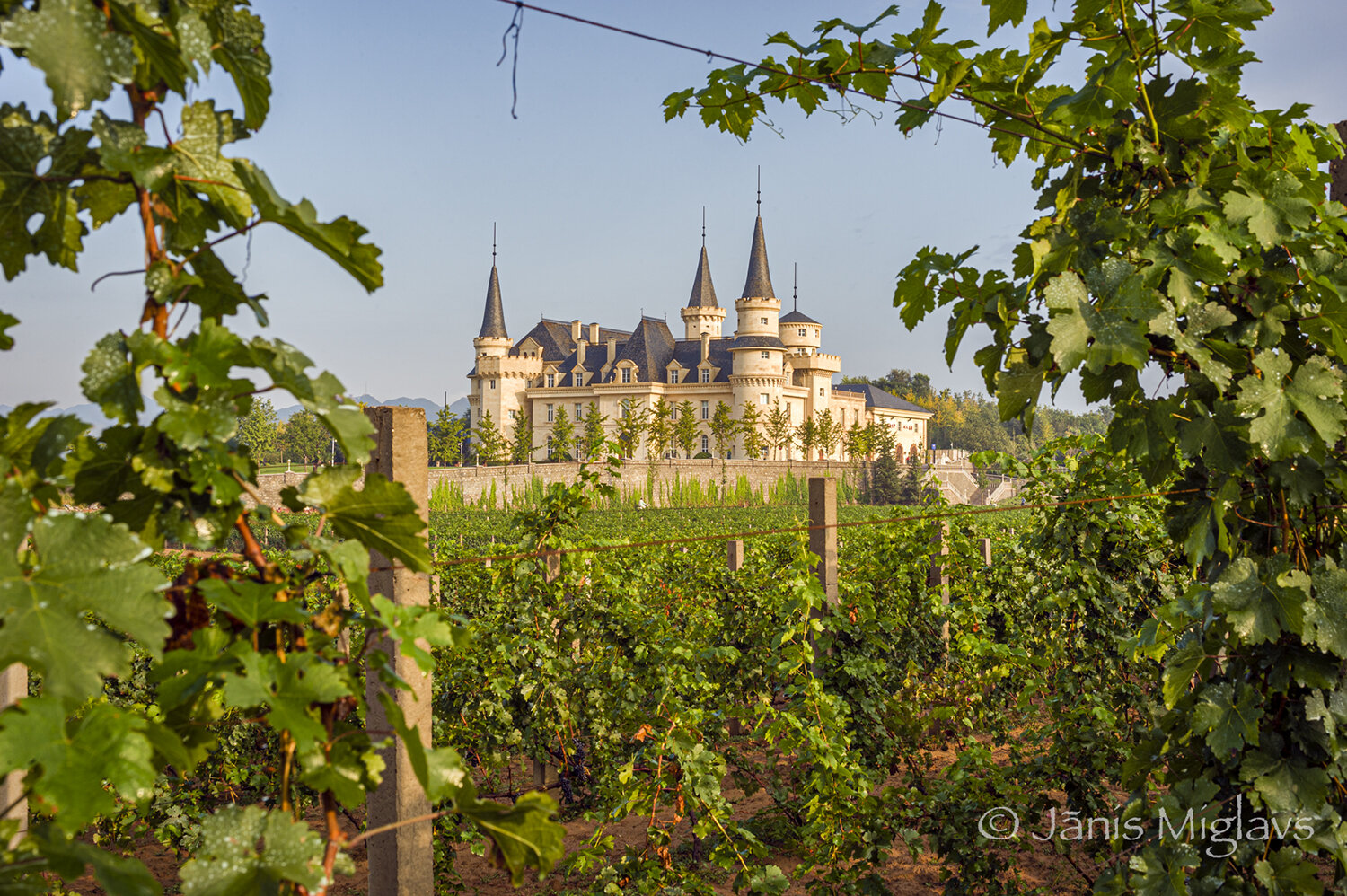 Chateau winery seen from vineyard at Changyu AFIP Global.