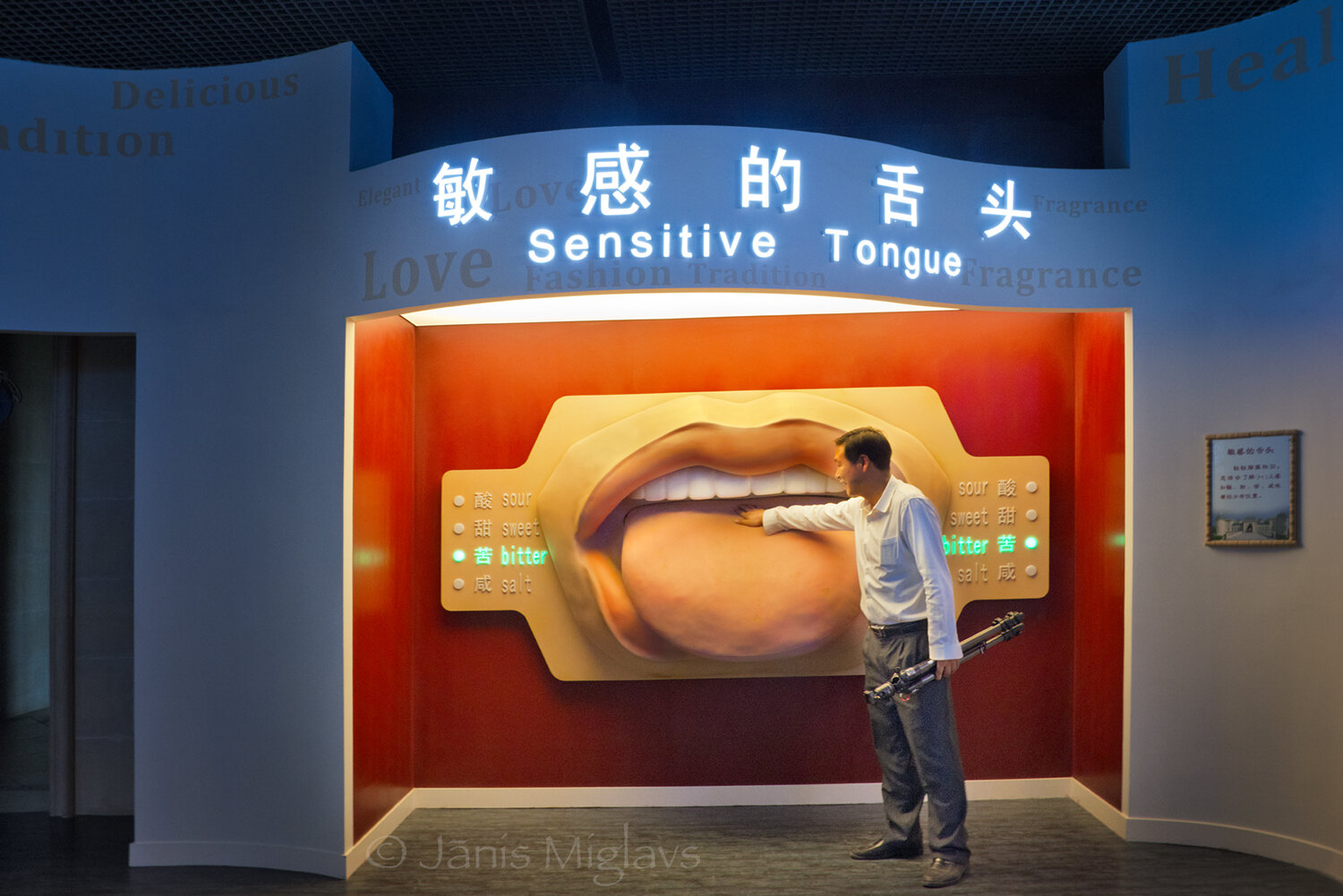 Visitor touches tongue to show where a specific taste is detected. 