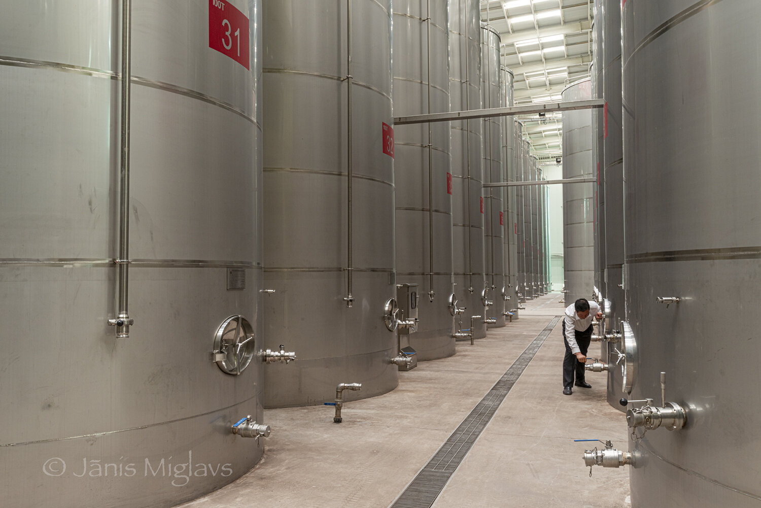 Stainless fermenting and storage tanks at Changyu Moser XV winery, China.