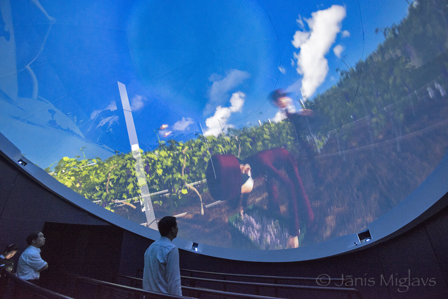 The IMAX-like dome theater shows how wine is made at Chateau Moser XV winery.