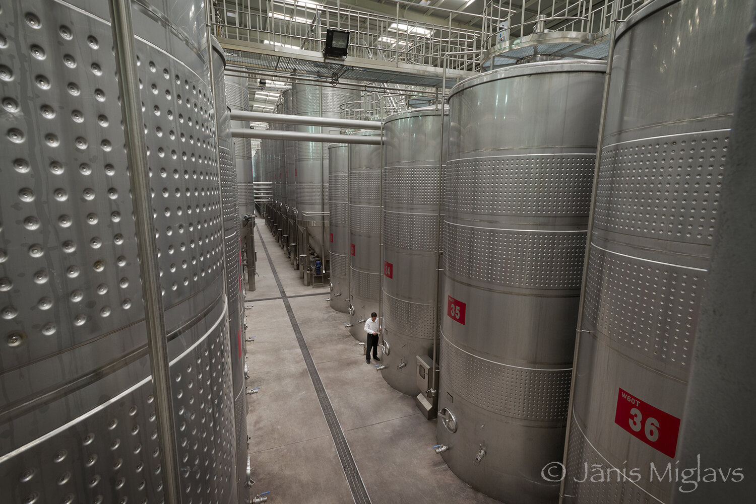 The stainless steel tanks dwarf Chinese winemaker in the Chateau Moser winery.