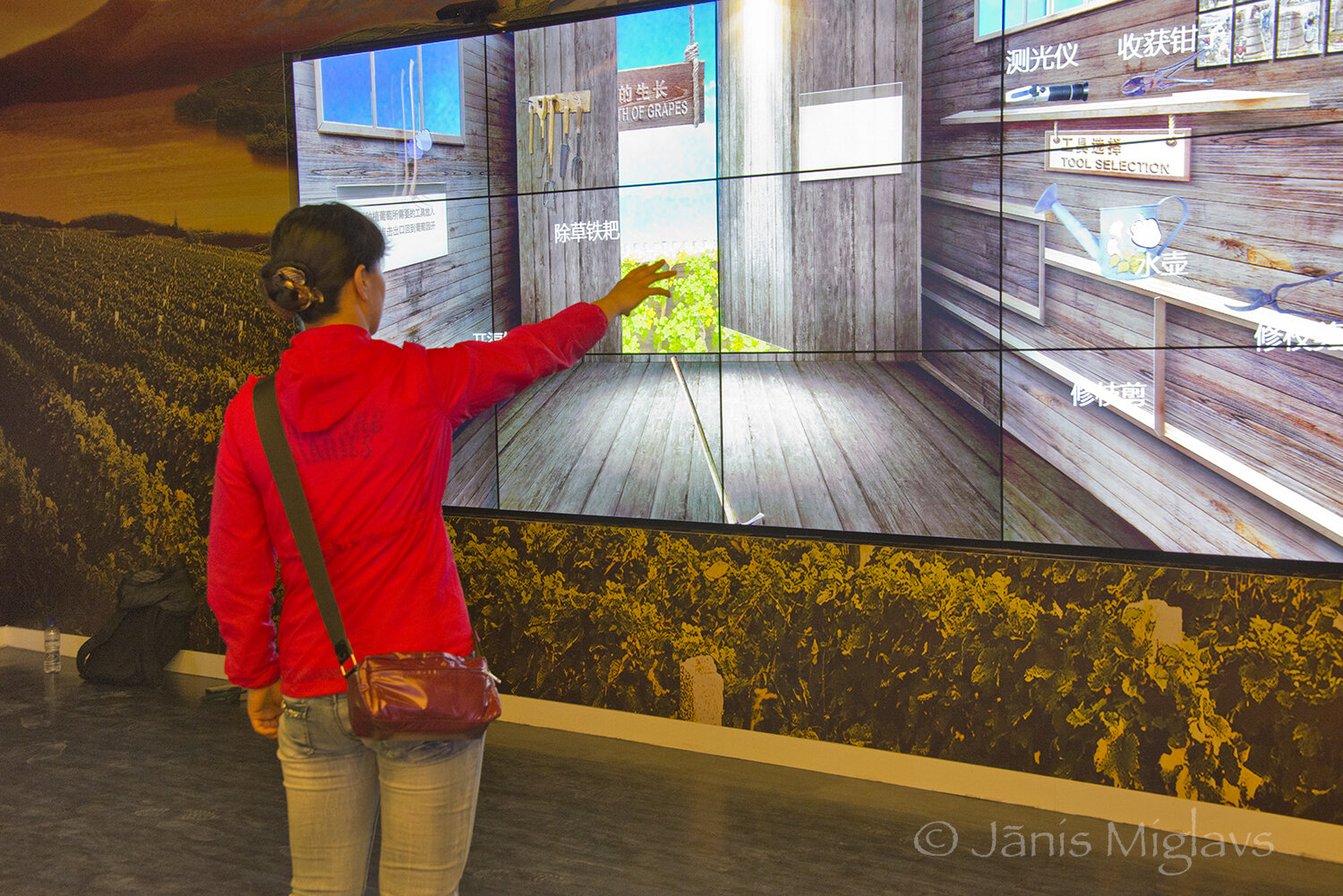 Chinese  tourist plays an interactive game in the winery visitor center.
