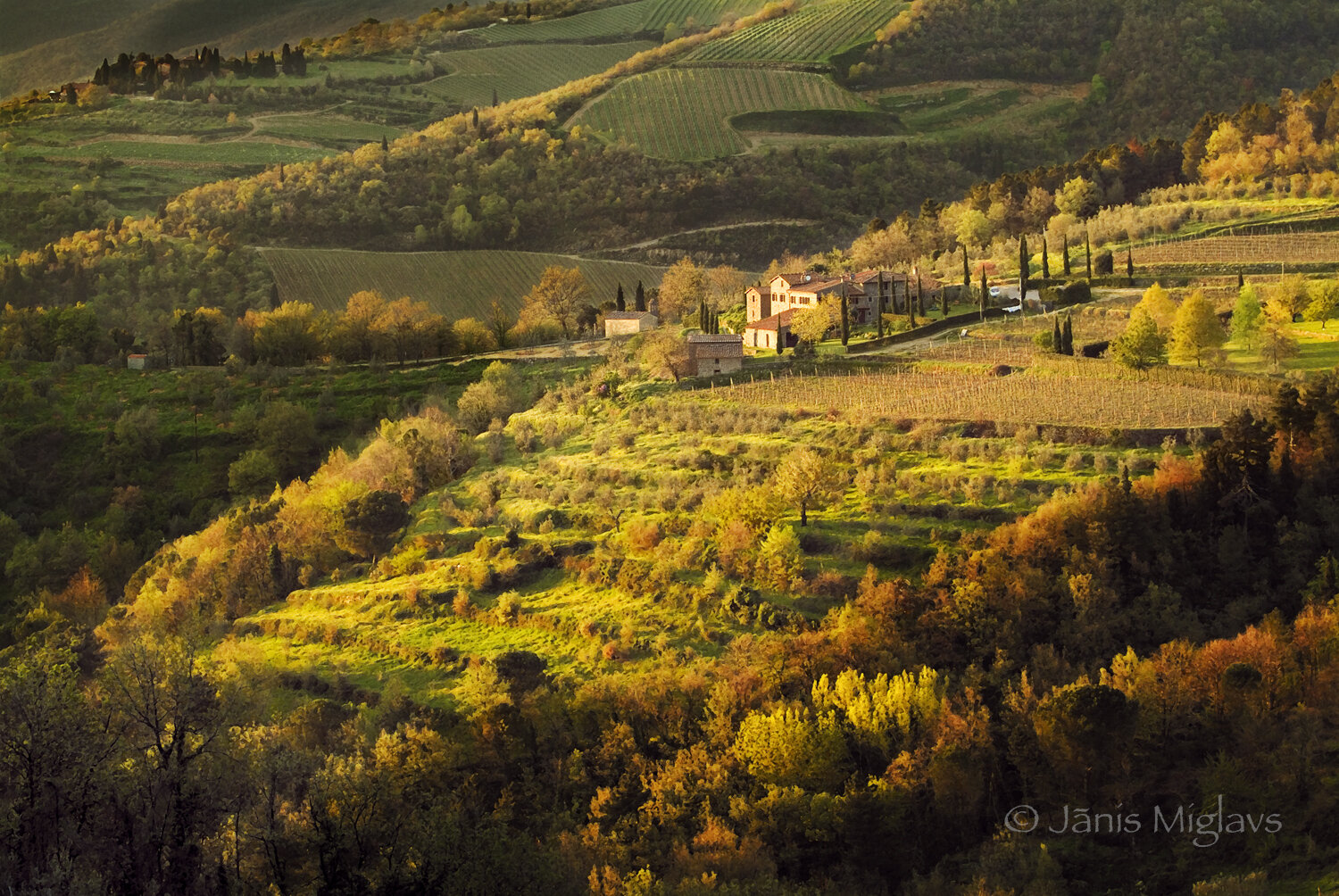 Sunlight splashes the stone buildings on hillside farm and vineyards in Tuscany, Italy.