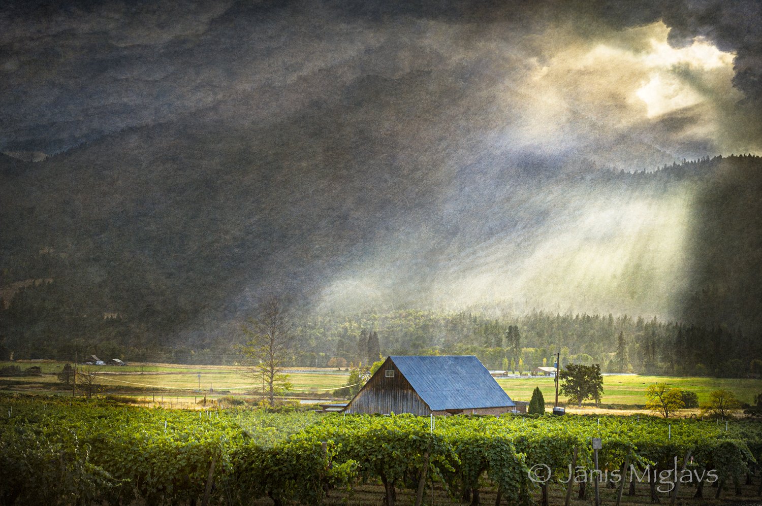 Clearing Storm, Valley View Winery, Applegate Valley AVA, Oregon