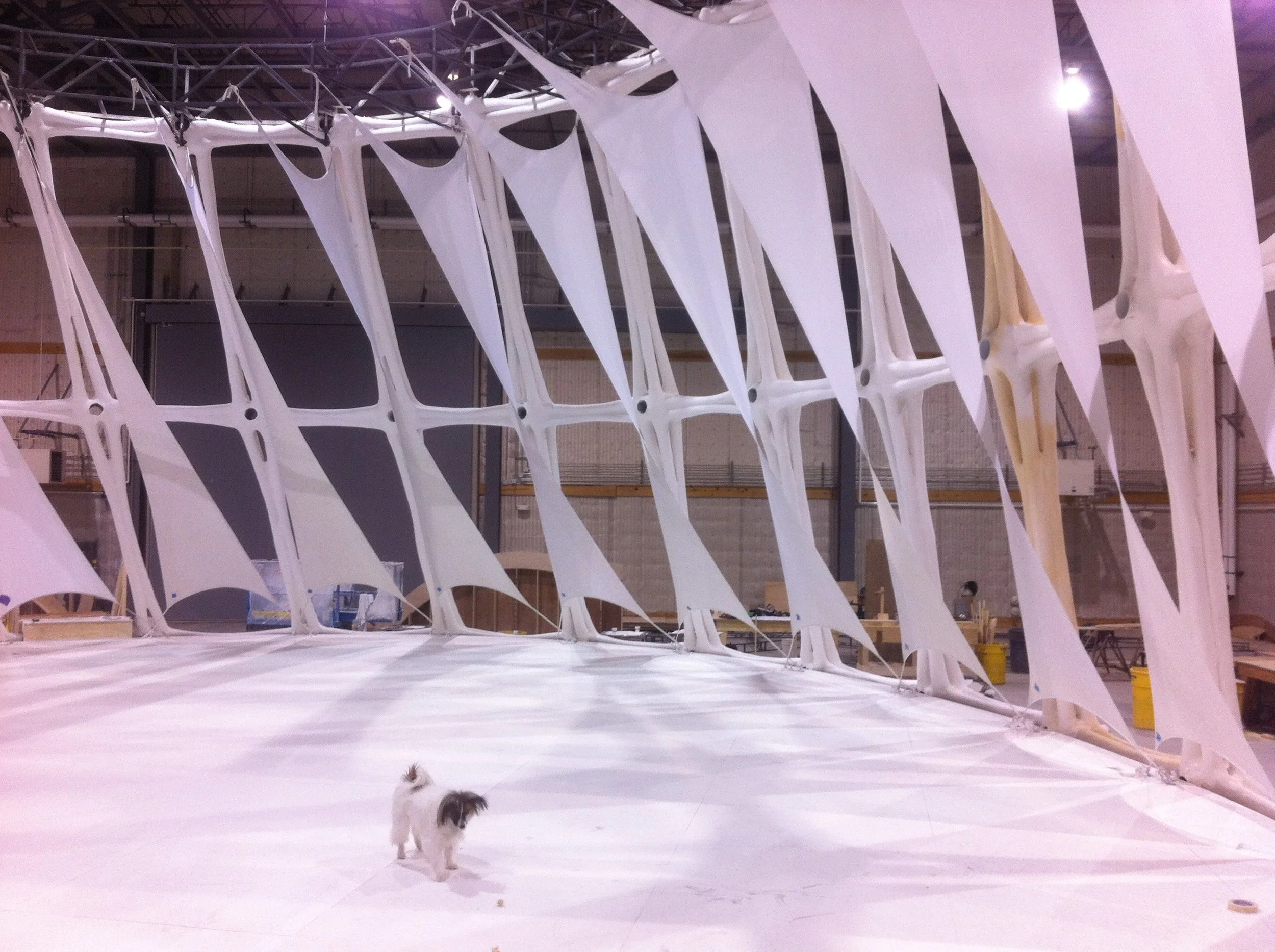  Movable fabric wall dividers 