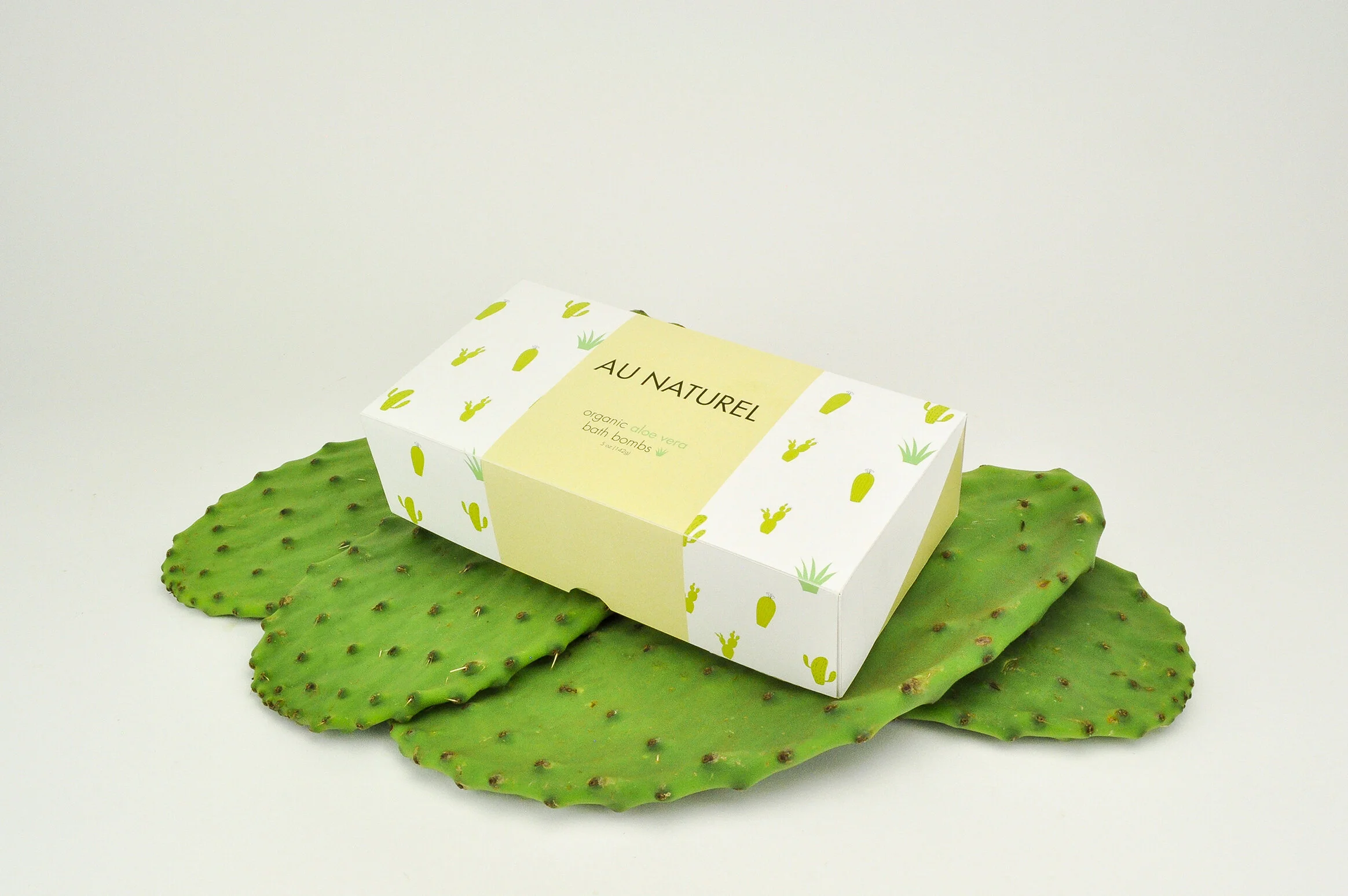 ANP 4-but cropped.jpg