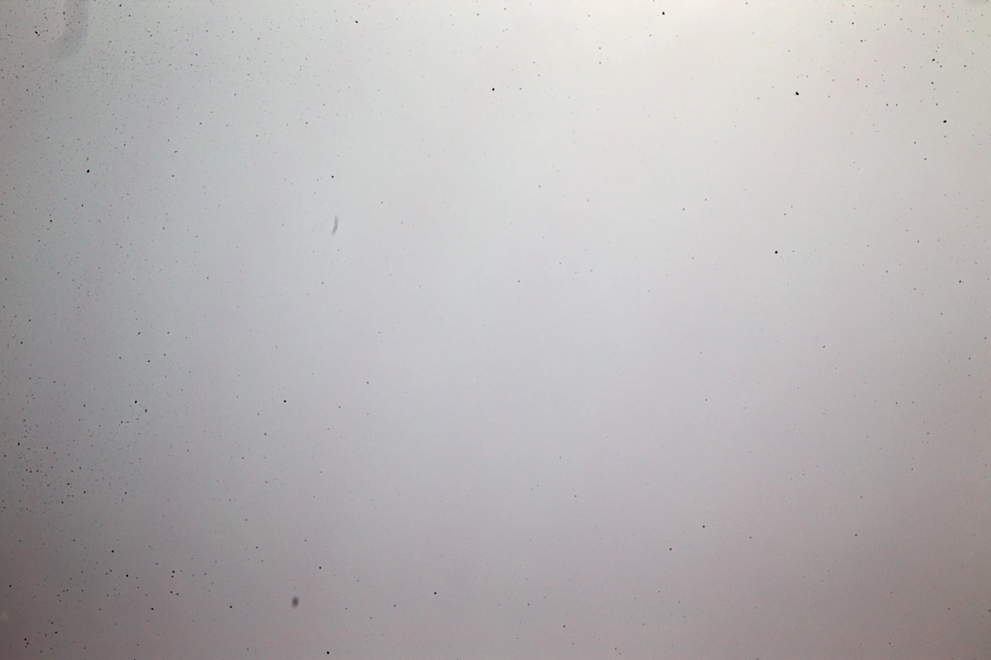 Canon 1Dx sensor before cleaning