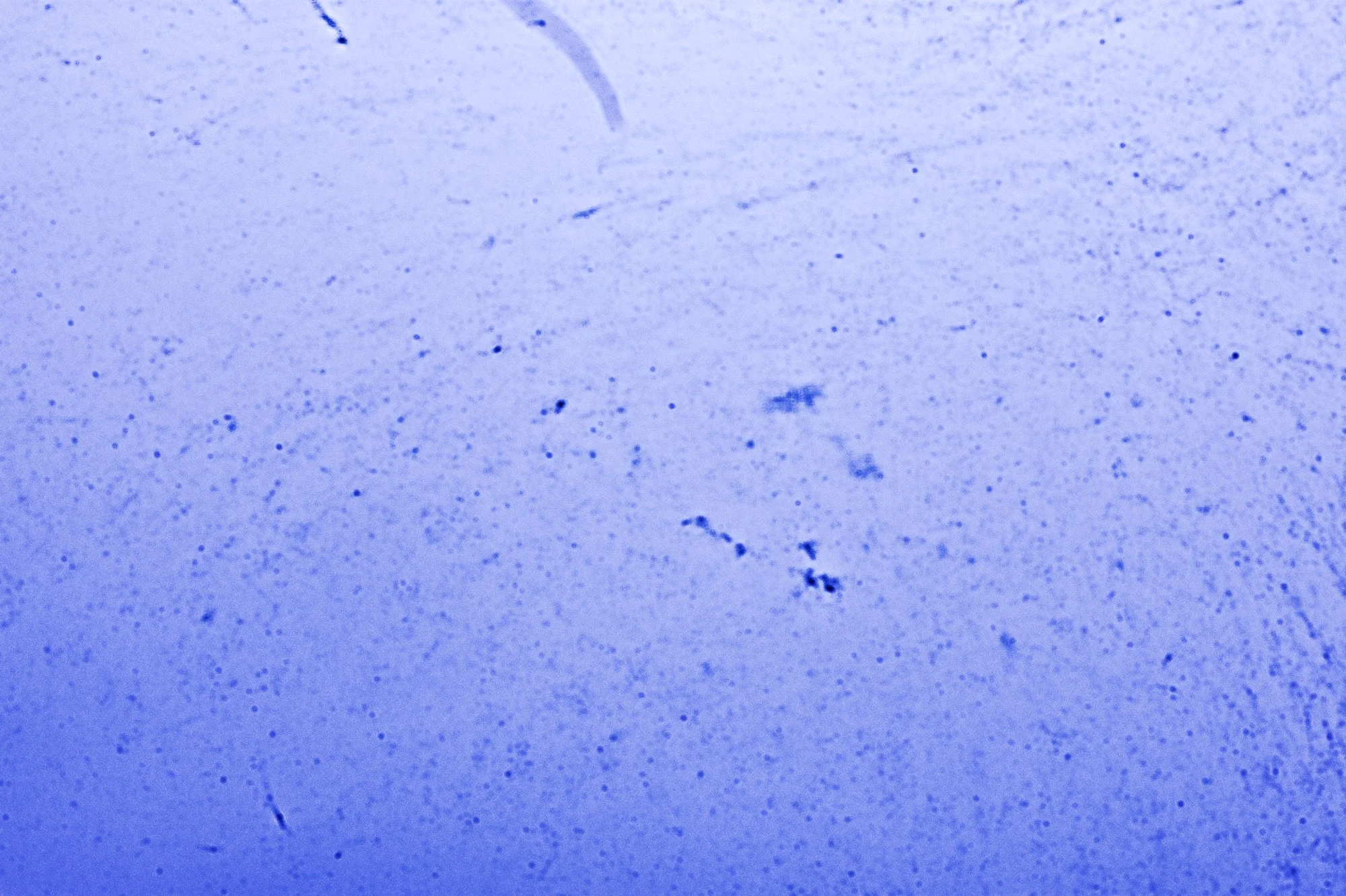 Nikon D7200 sensor 1.jpg