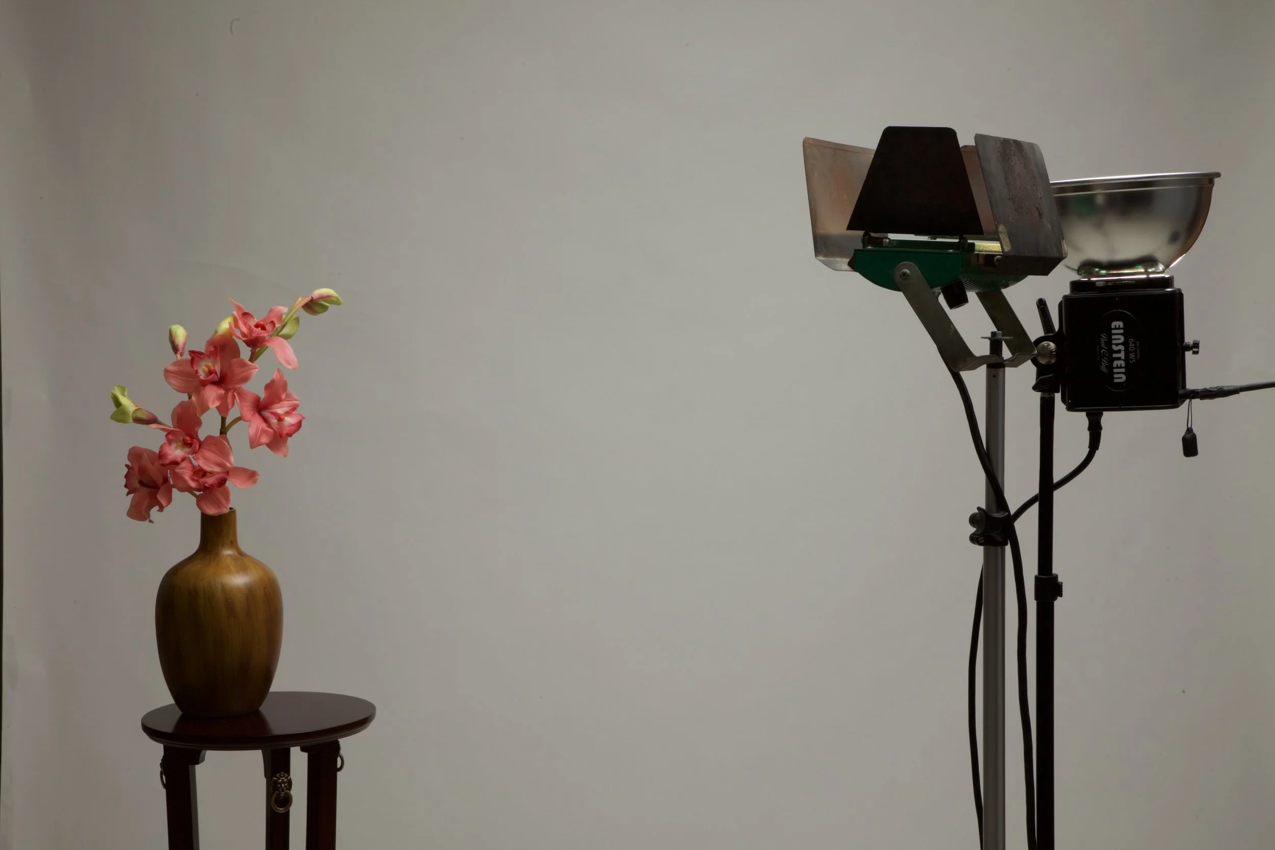 640 watt second studio flash - 1/125th second at f22 ISO 100