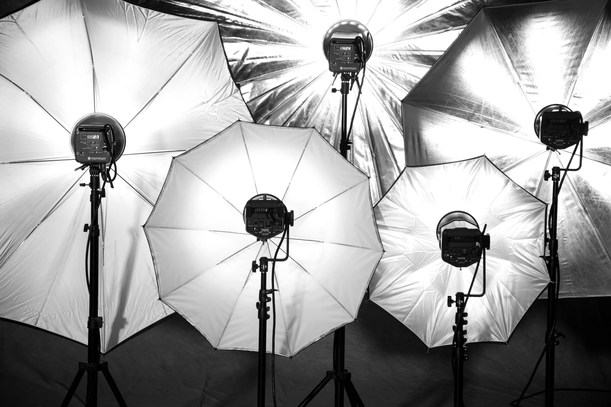 Umbrellas in a variety of sizes - ideal for use with studio flashes.