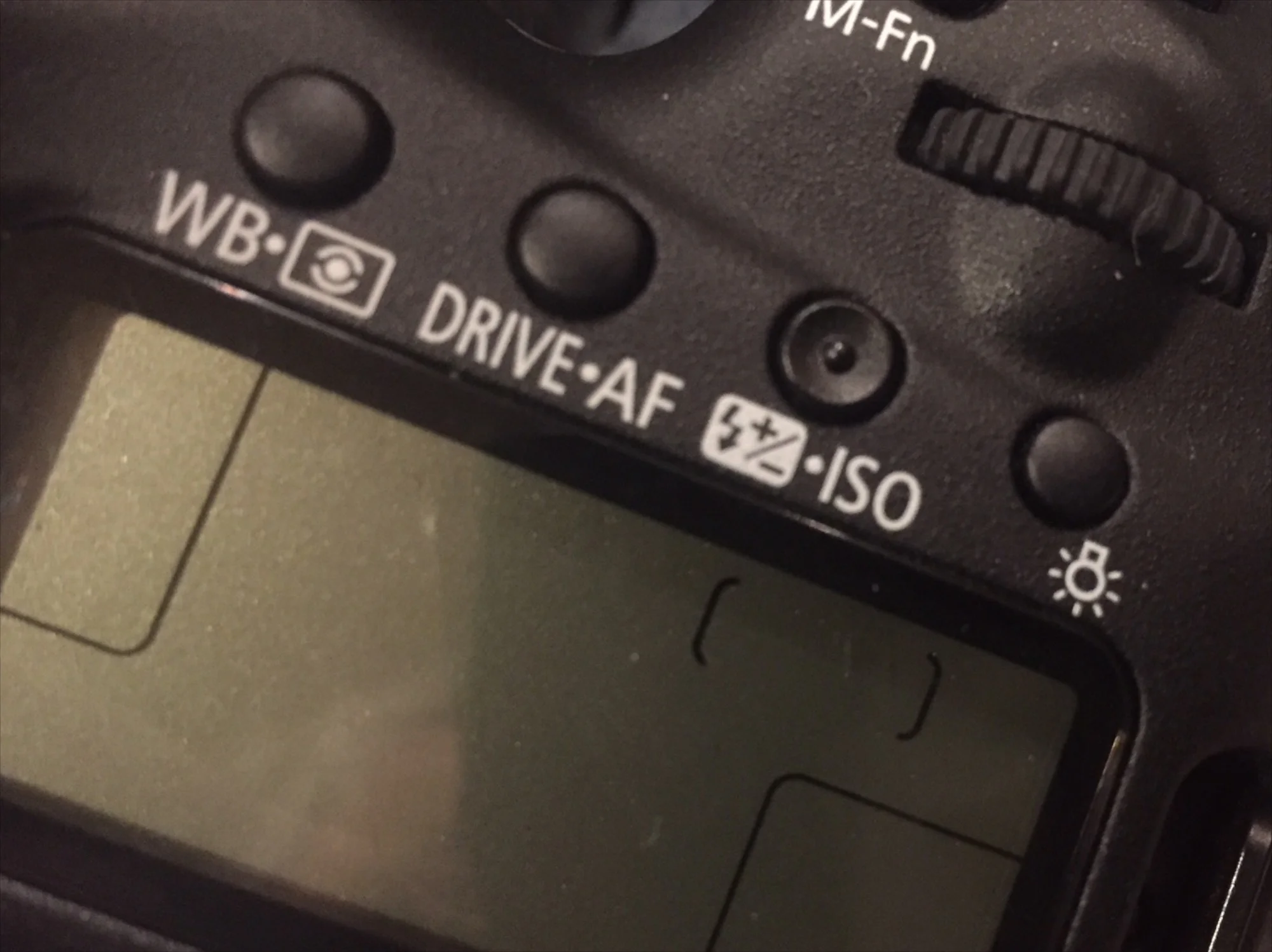 ISO__093.jpg