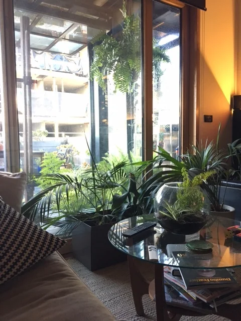 Greenery to battle the inner urban grit