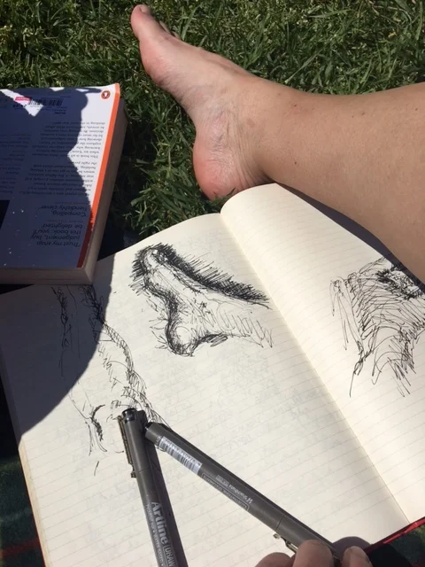Drawing picnic in the park - foot - Oct 2017