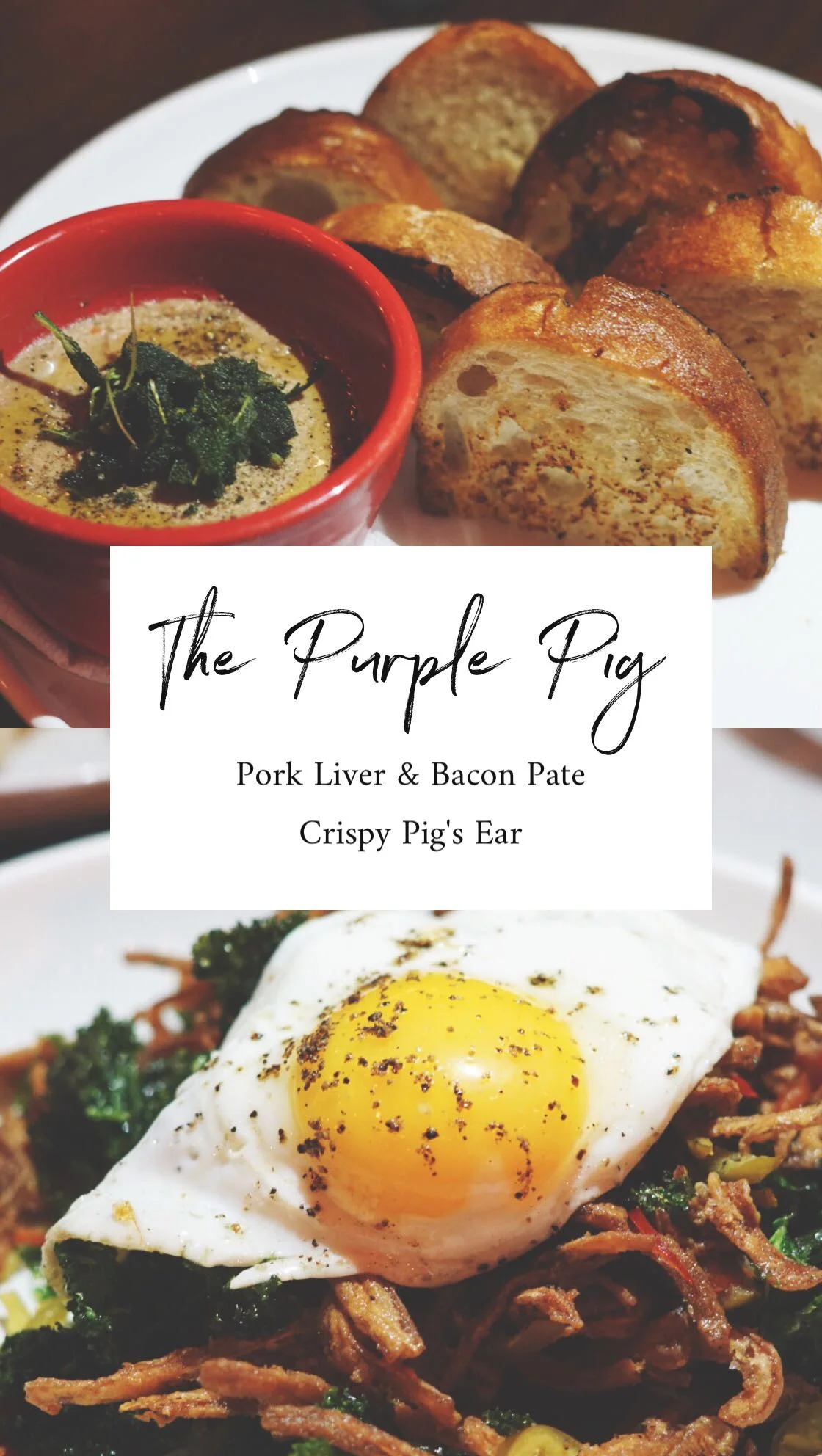 The Purple Pig