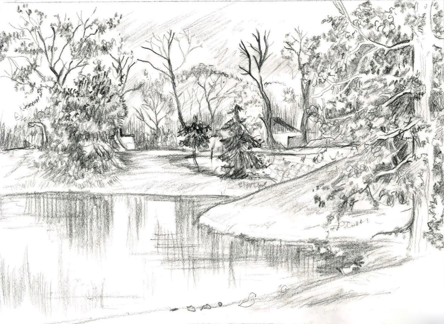 drawn-pond-sketch-12.jpg