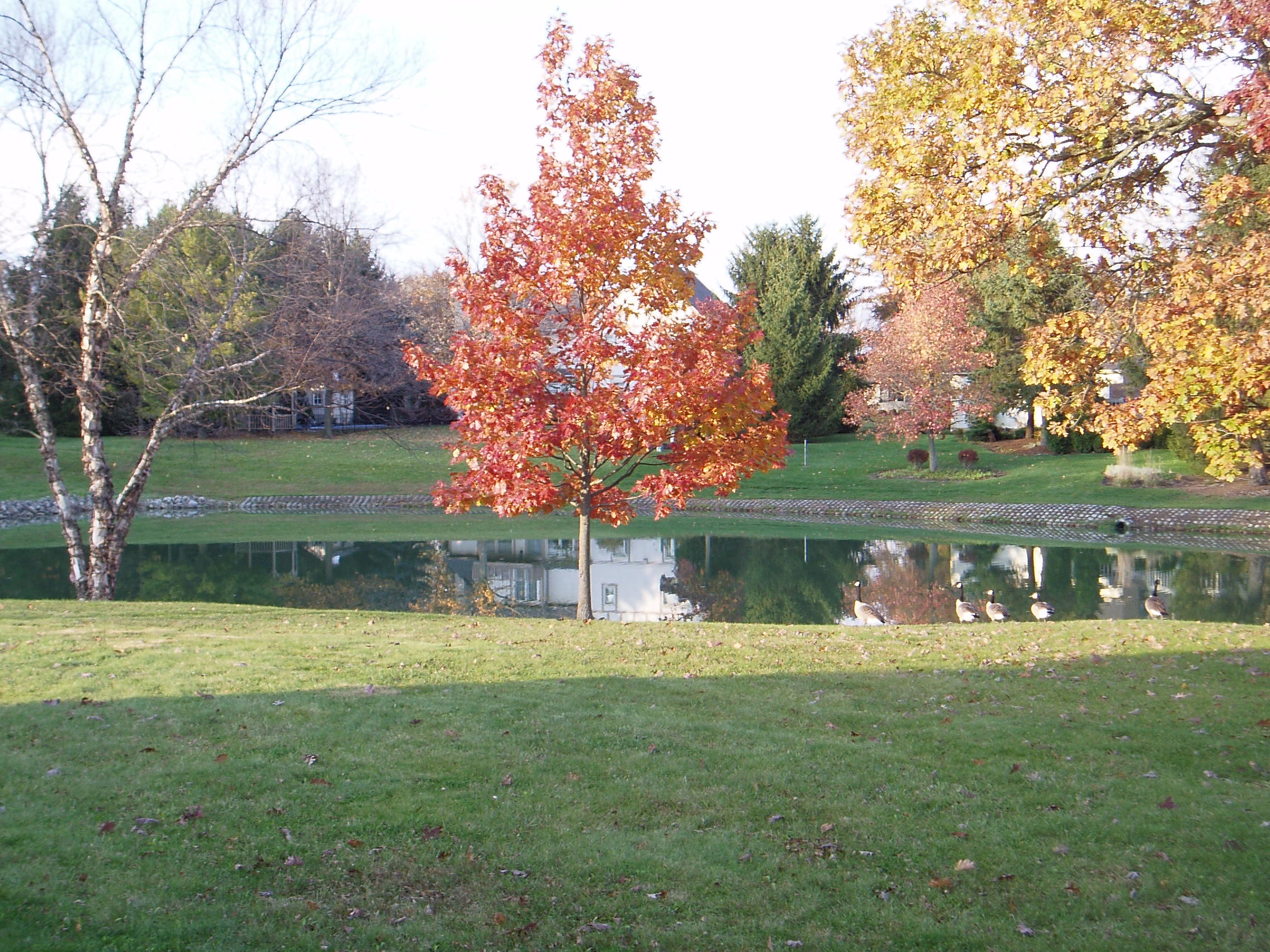 Fall 2011 031.jpg