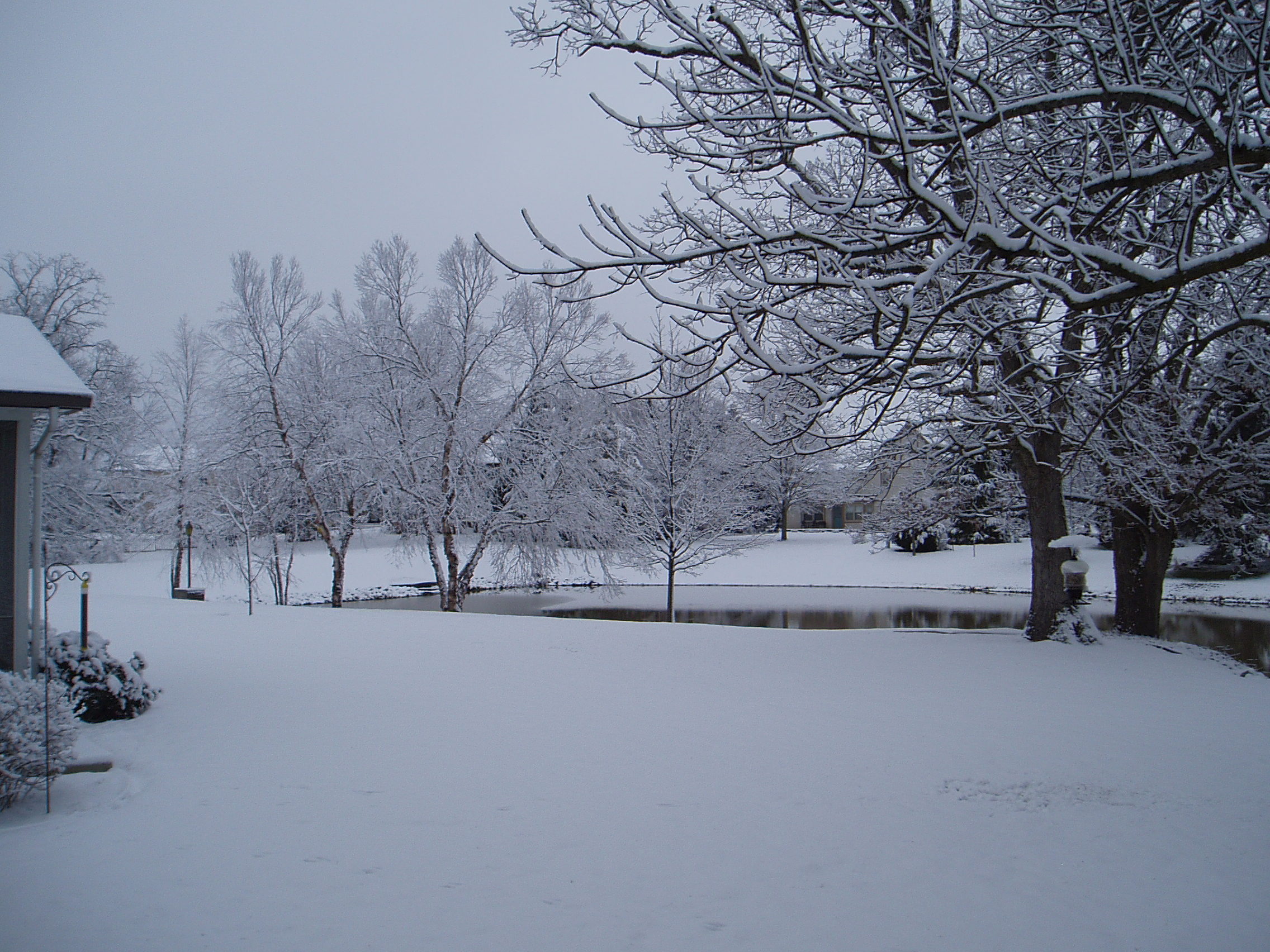 Spring 2013 013.jpg