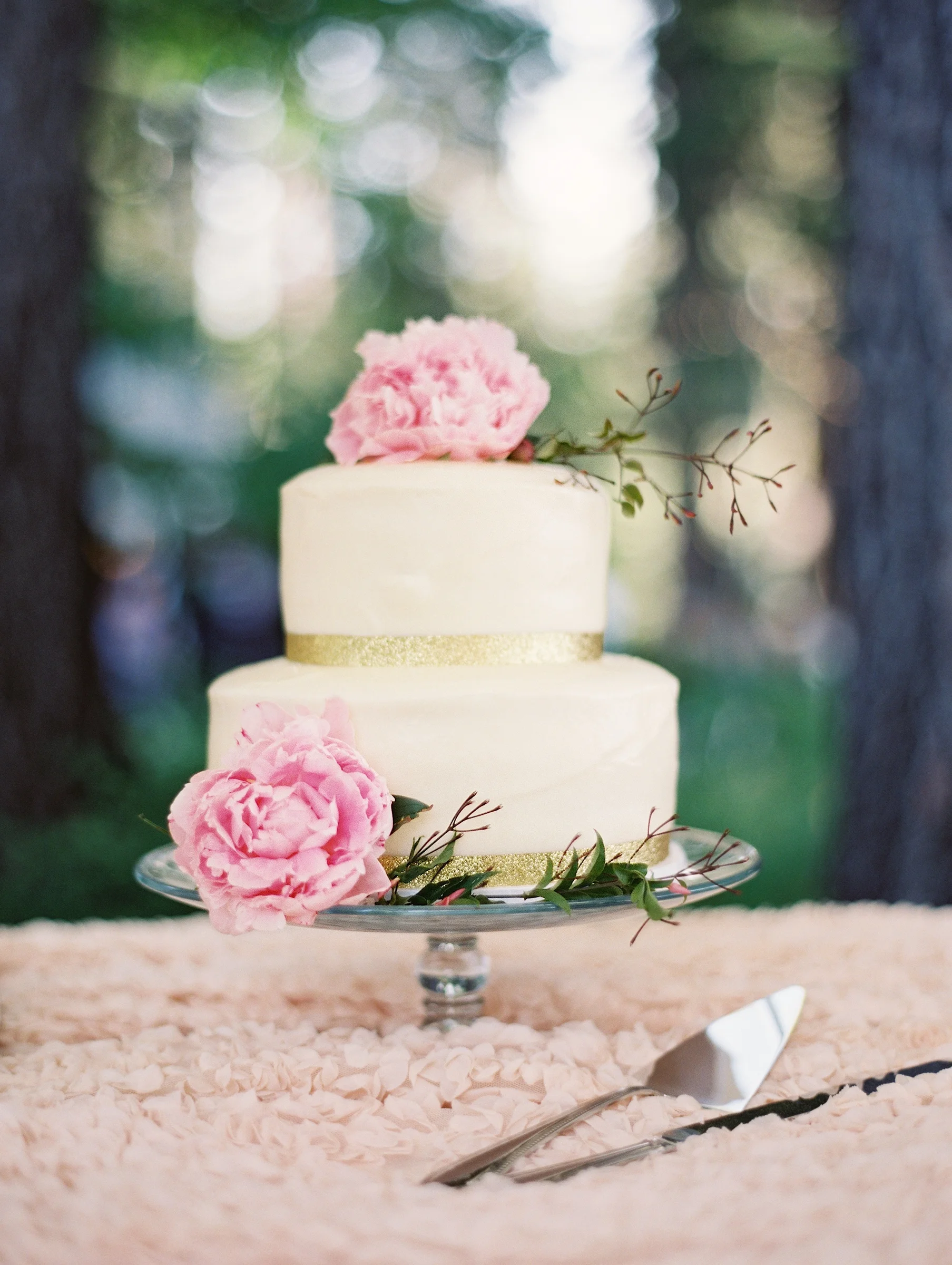 bret_cole_photography_lizanddemetrius_tahoe_wedding1044.jpg