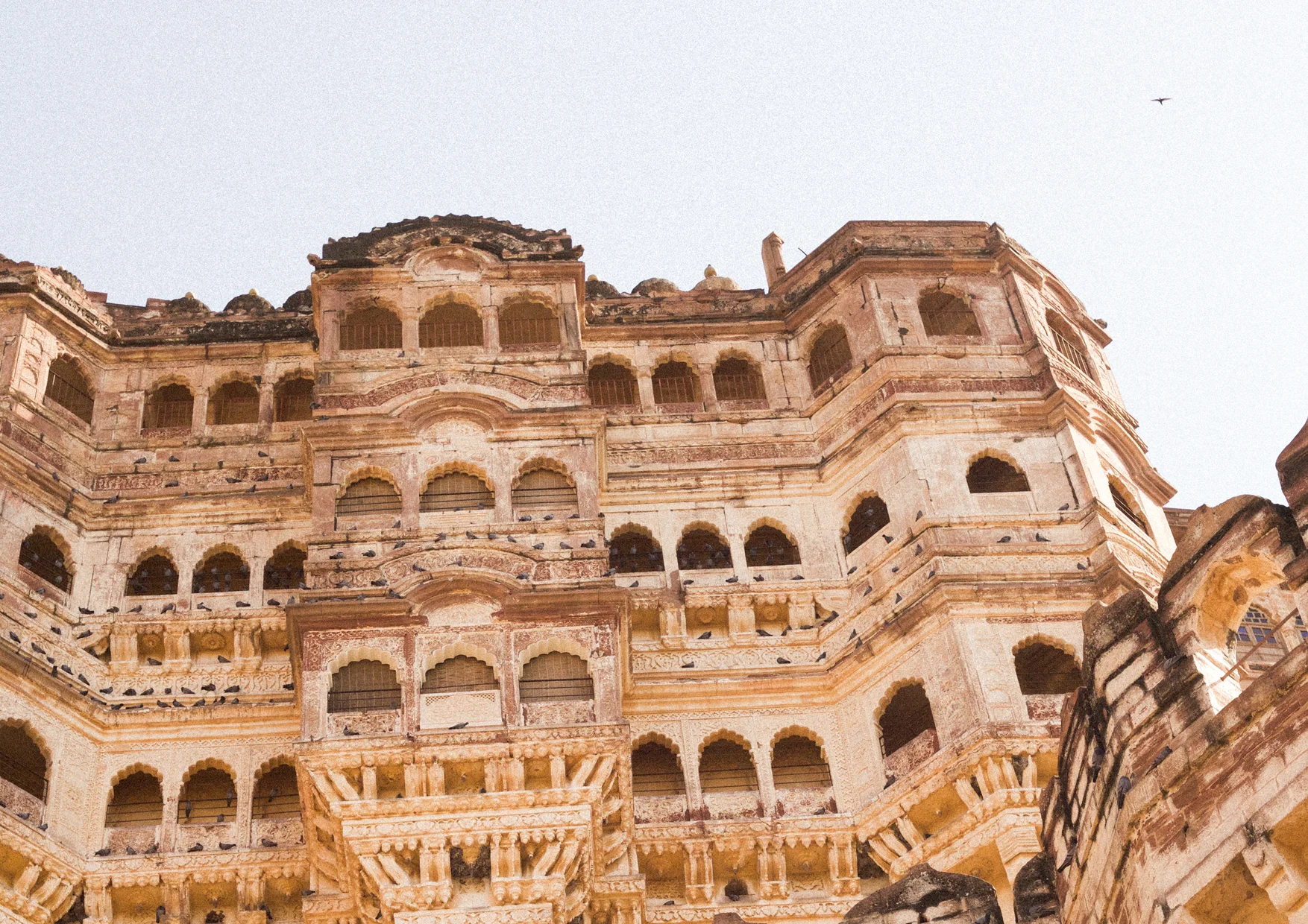 jodhpur9.jpg