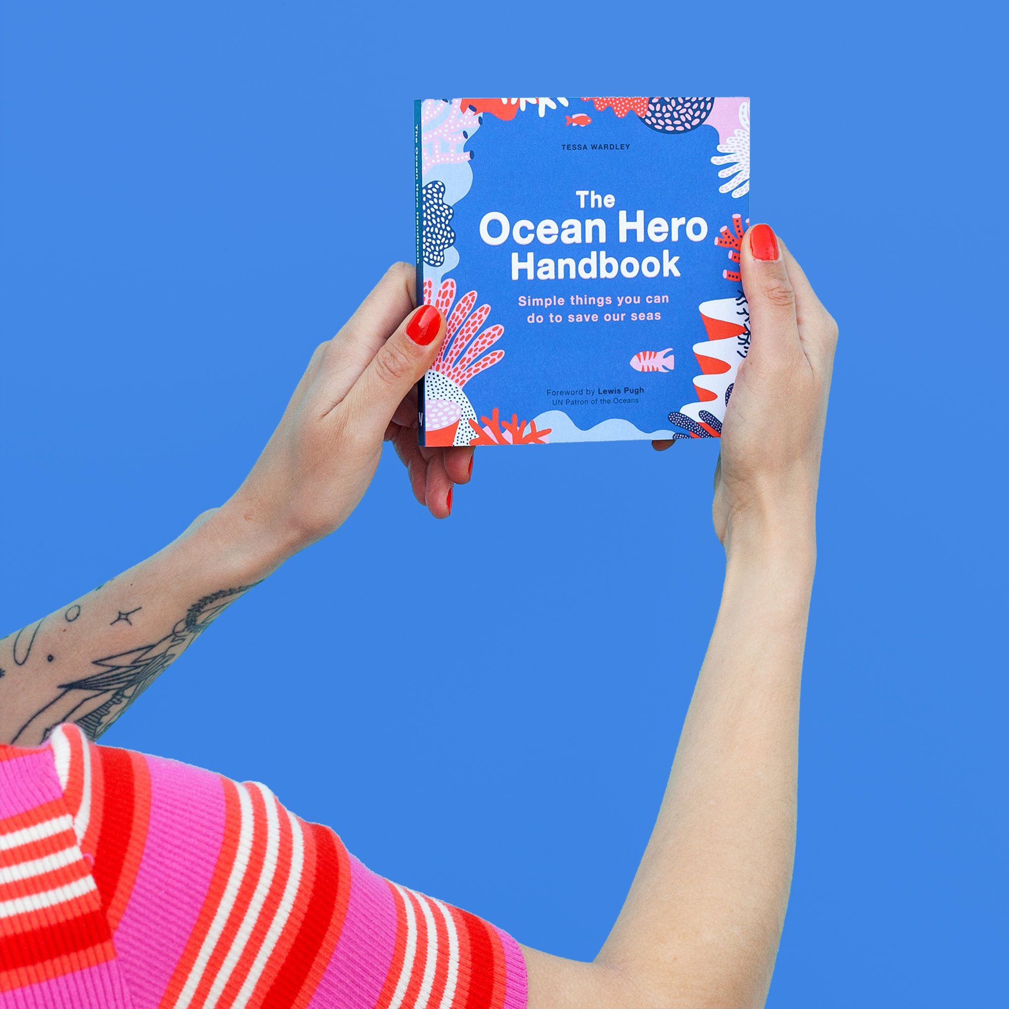 The Ocean hero handbook 11.jpg