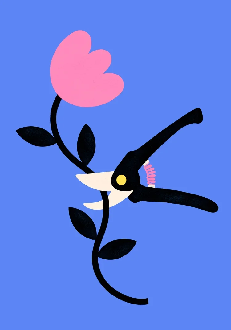 Bird+cut.webp