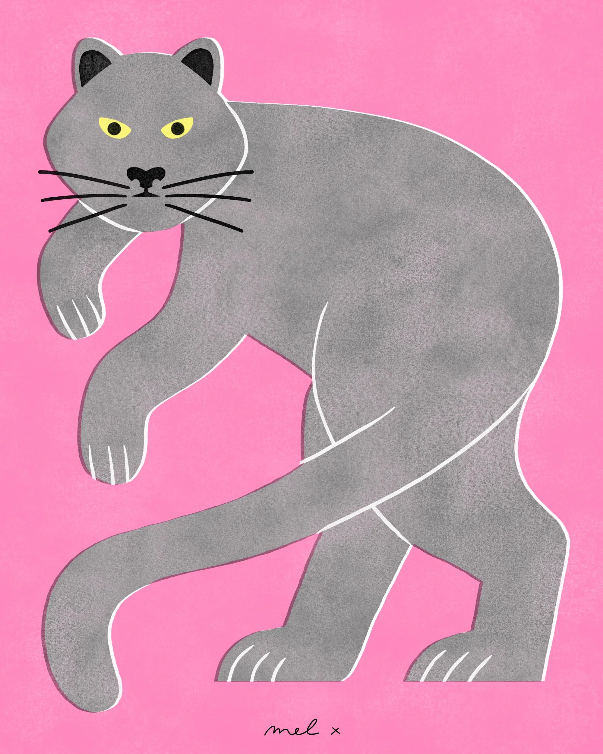 CAT 1.jpg