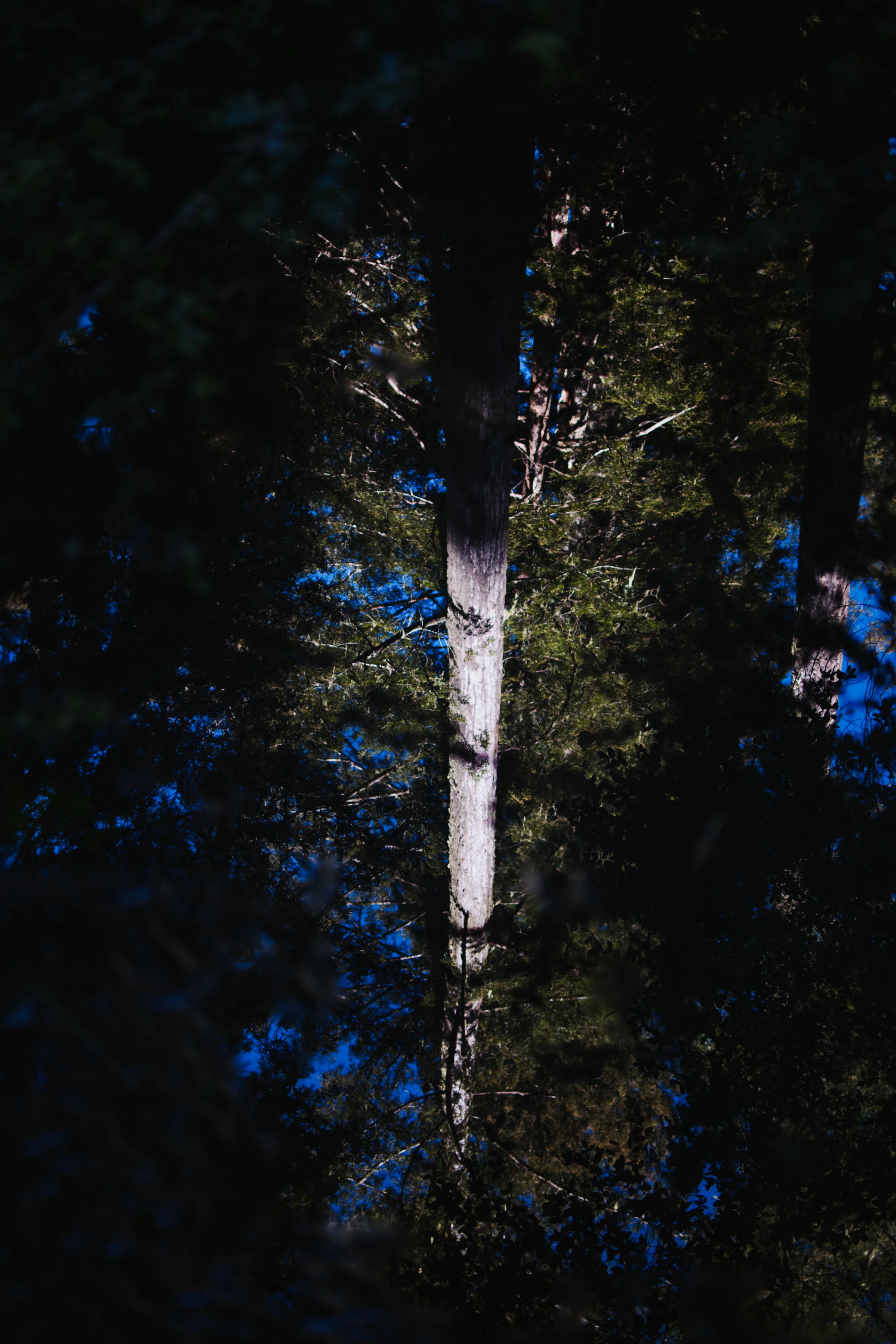 DSC_0031.jpg