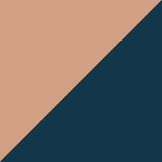 pink_blue.jpg