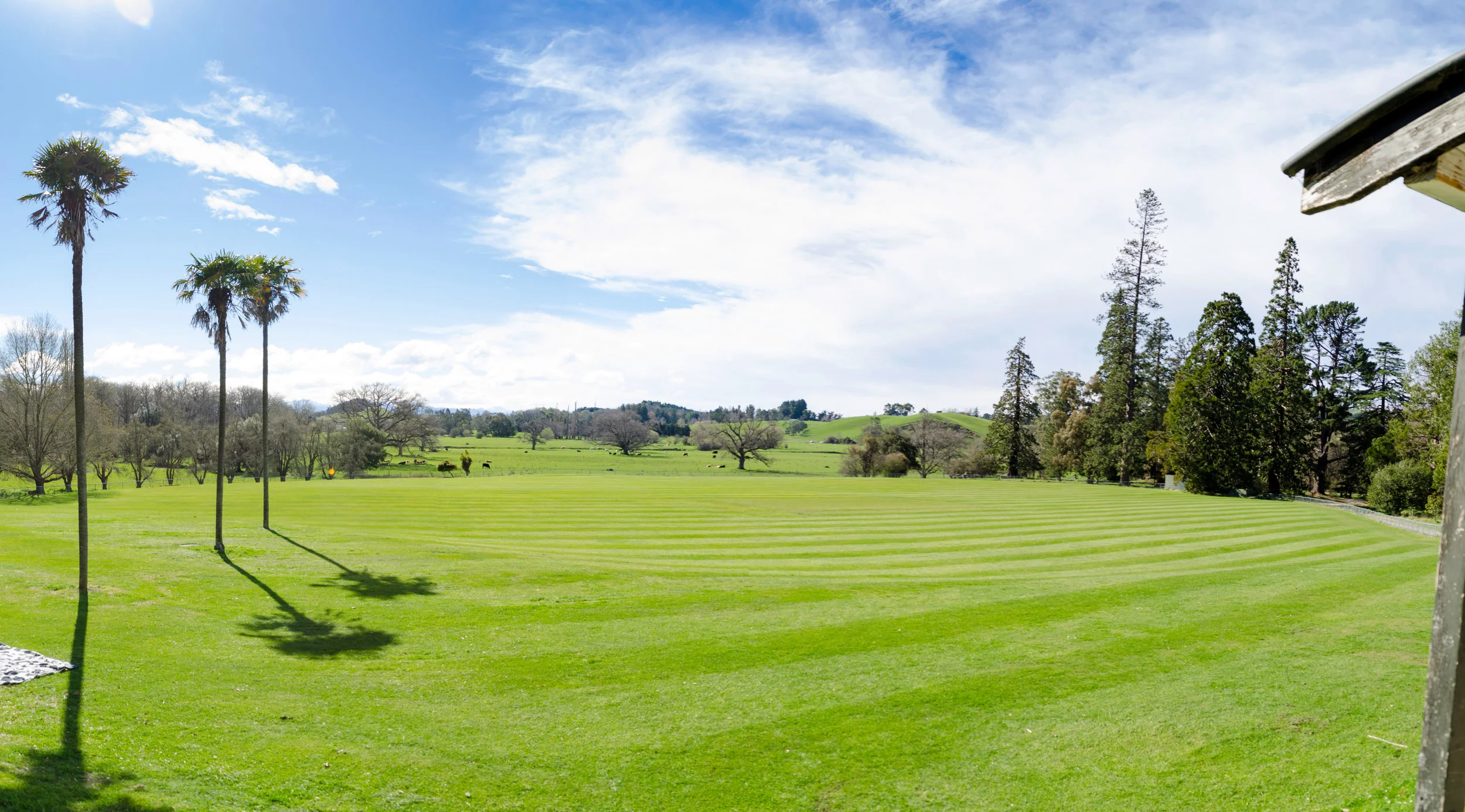 The cricket oval at Cheviot Hills Reserve