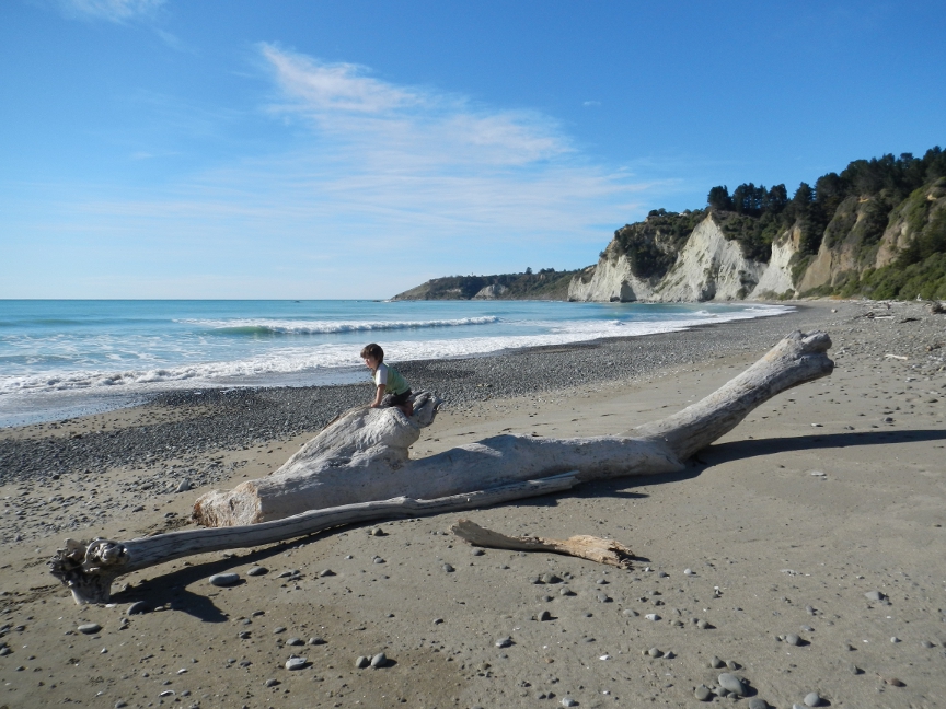 Kid-on-driftwood.jpg