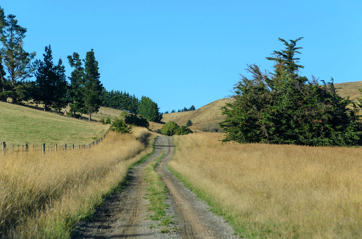 DSC_1535.jpg