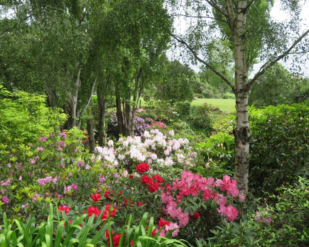 Cathedral Cliffs_45 Web_0006_IMG_1357.jpg