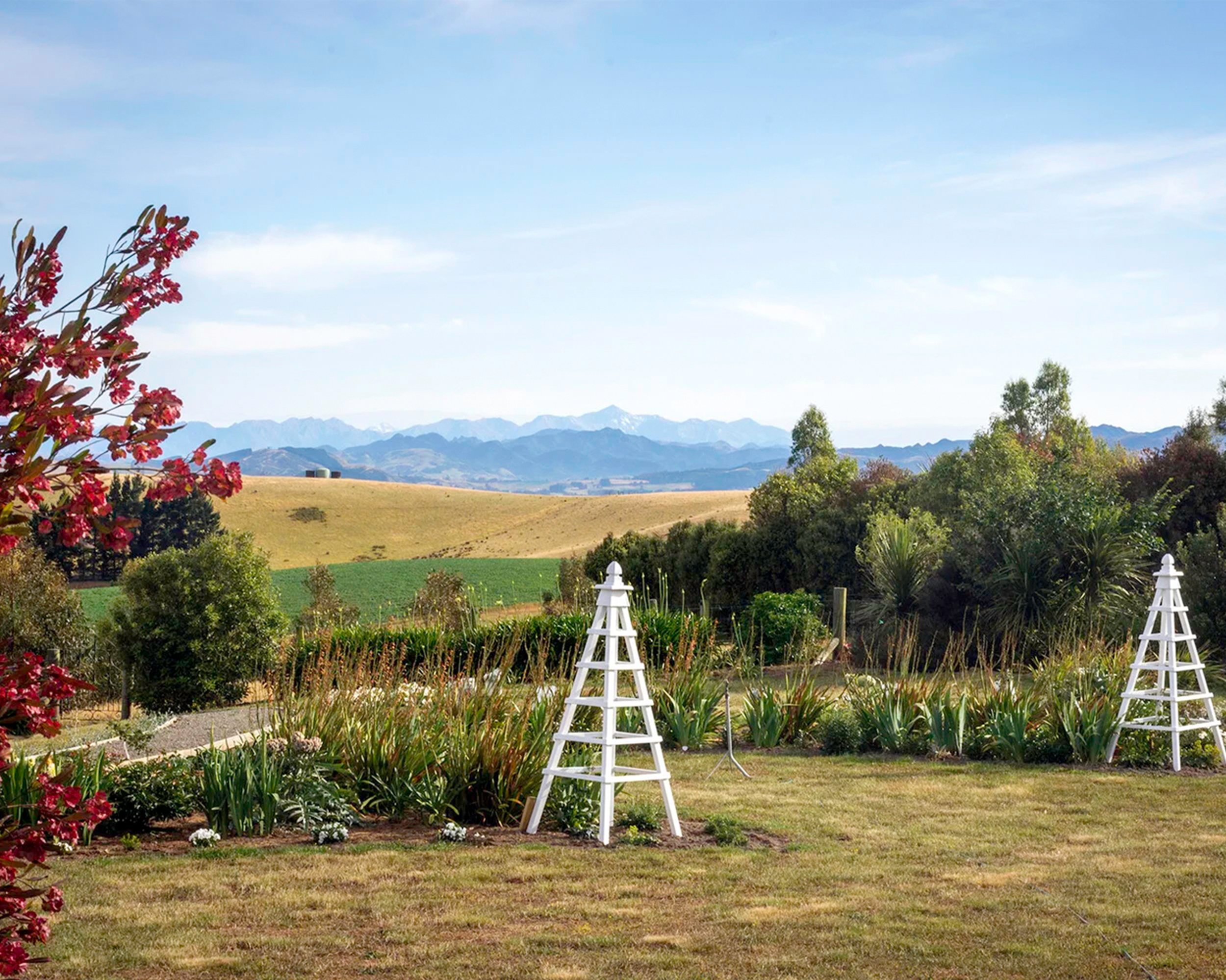 RCH Celebrate Web_0012_DSC_2601.jpg