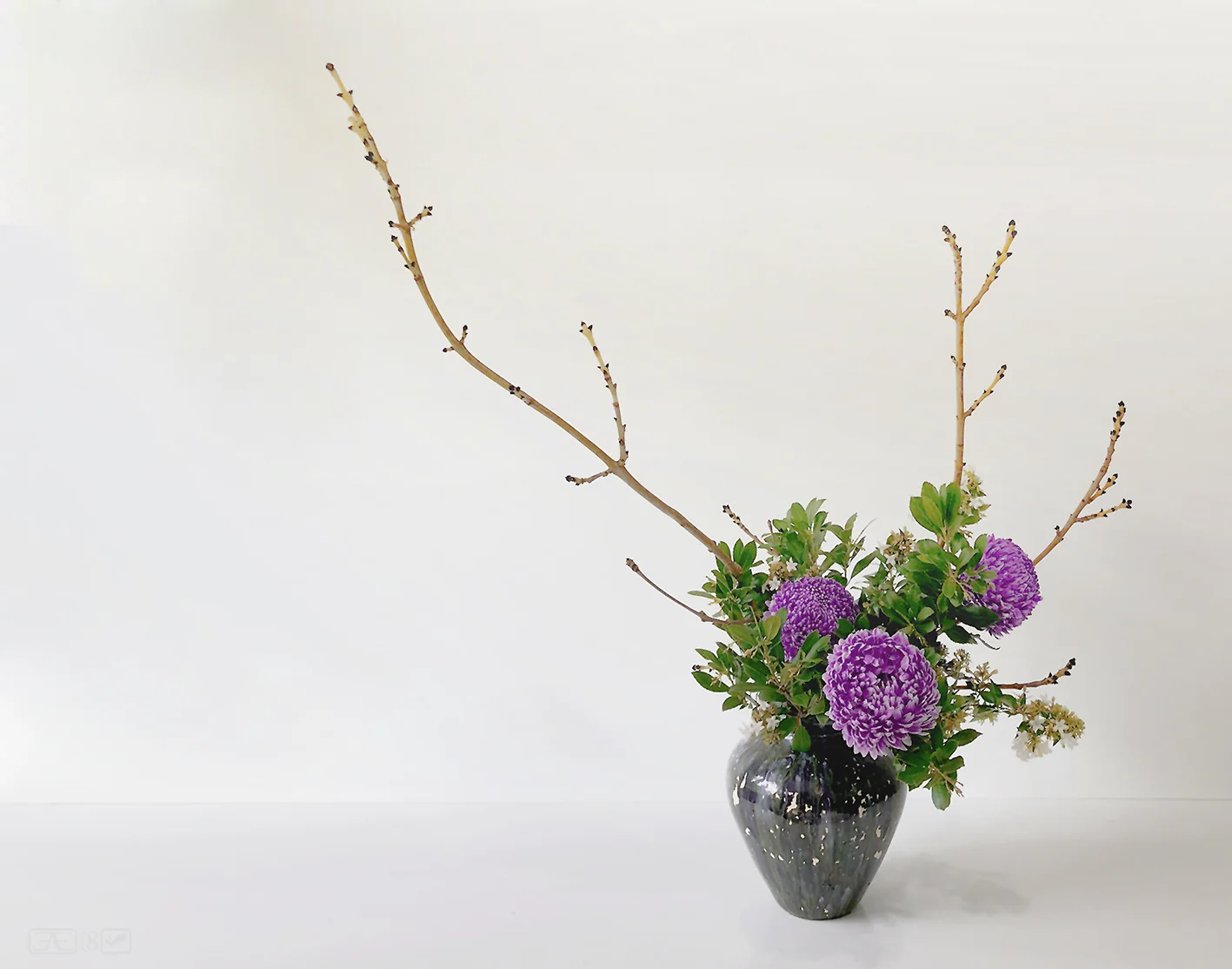 Arrangement in a Tsubo container. (Container by Alexander Evans) This arrangement also makes use of the direct fixing technique.