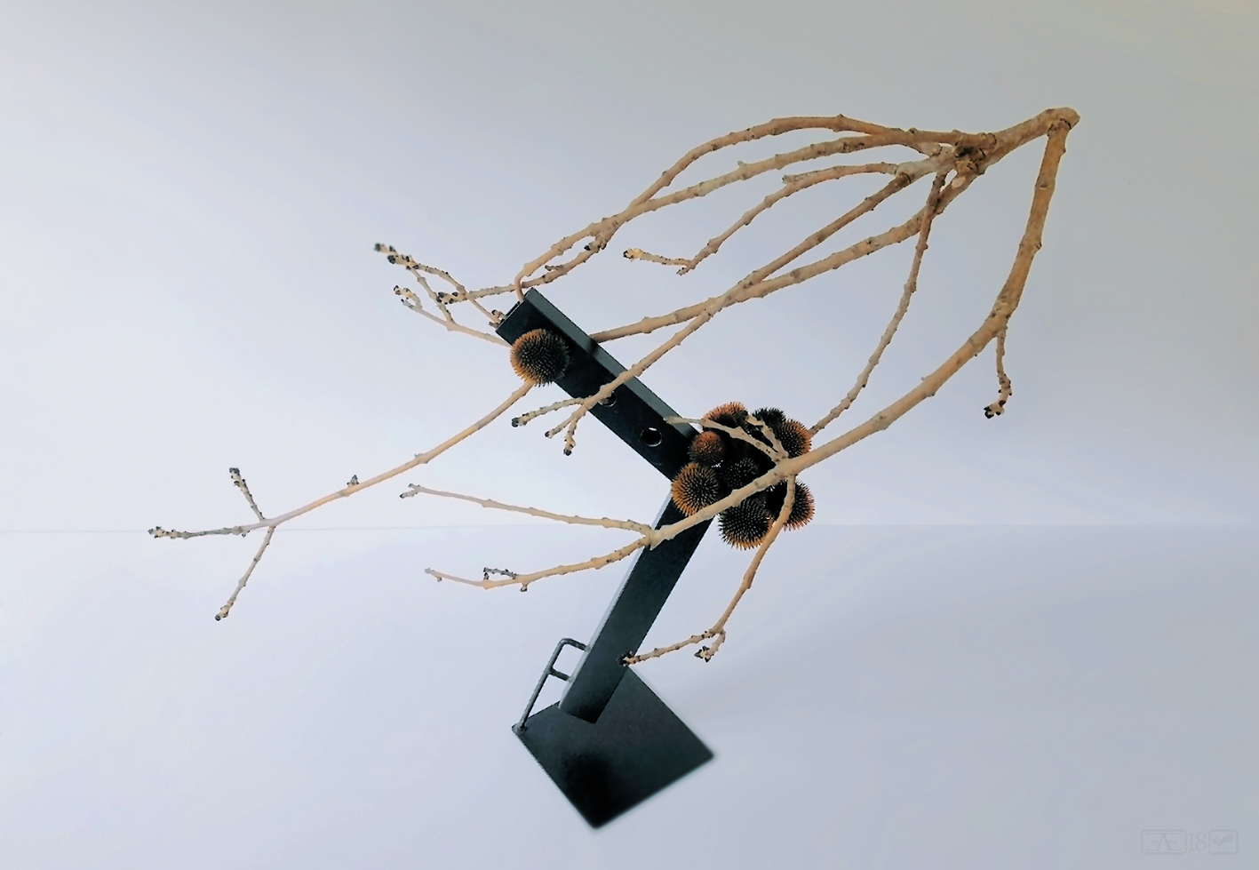 Arrangement showing Movement - rising. 